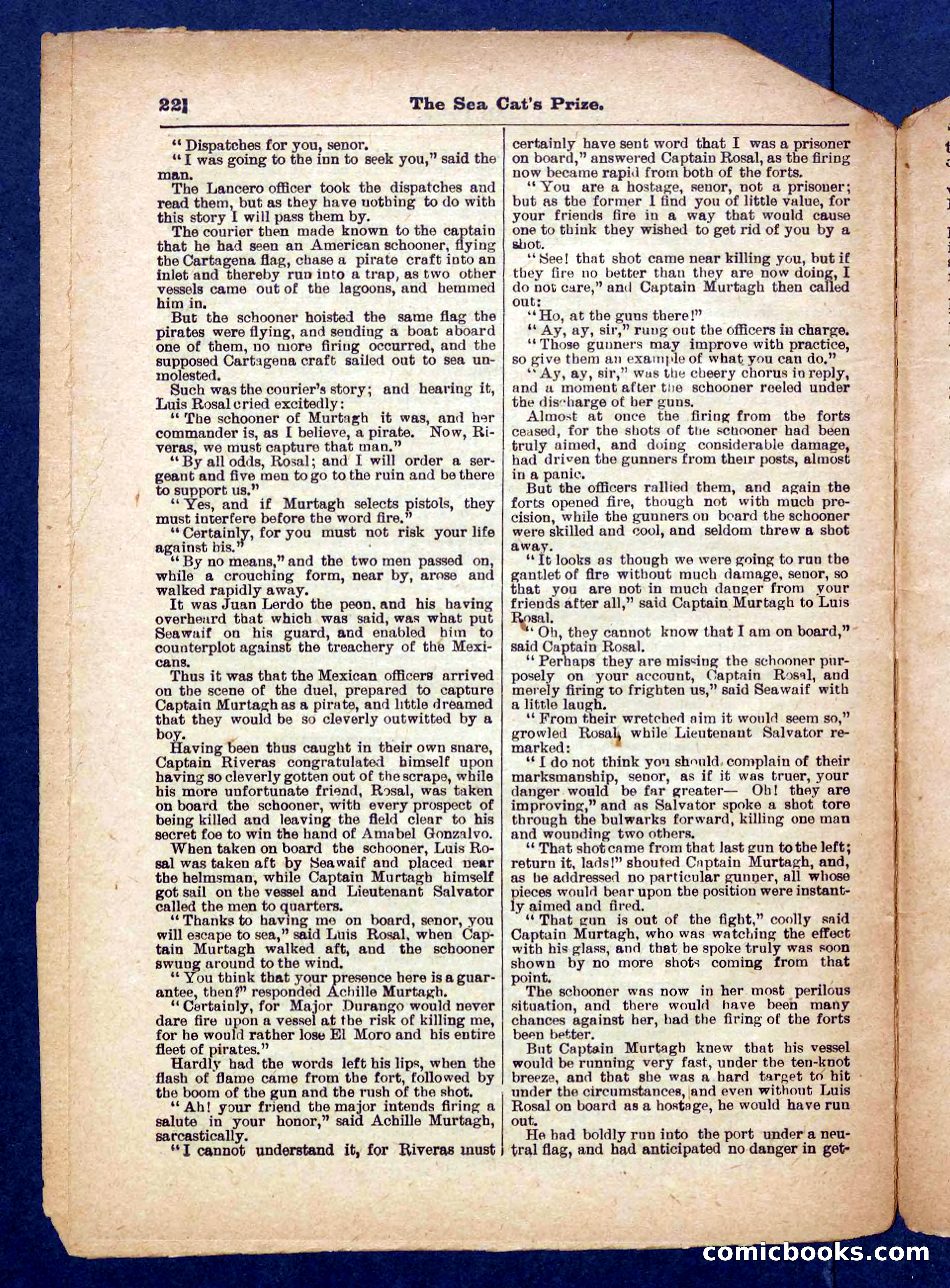 Beadle's Pocket Library No. 372 — page 22 of 32