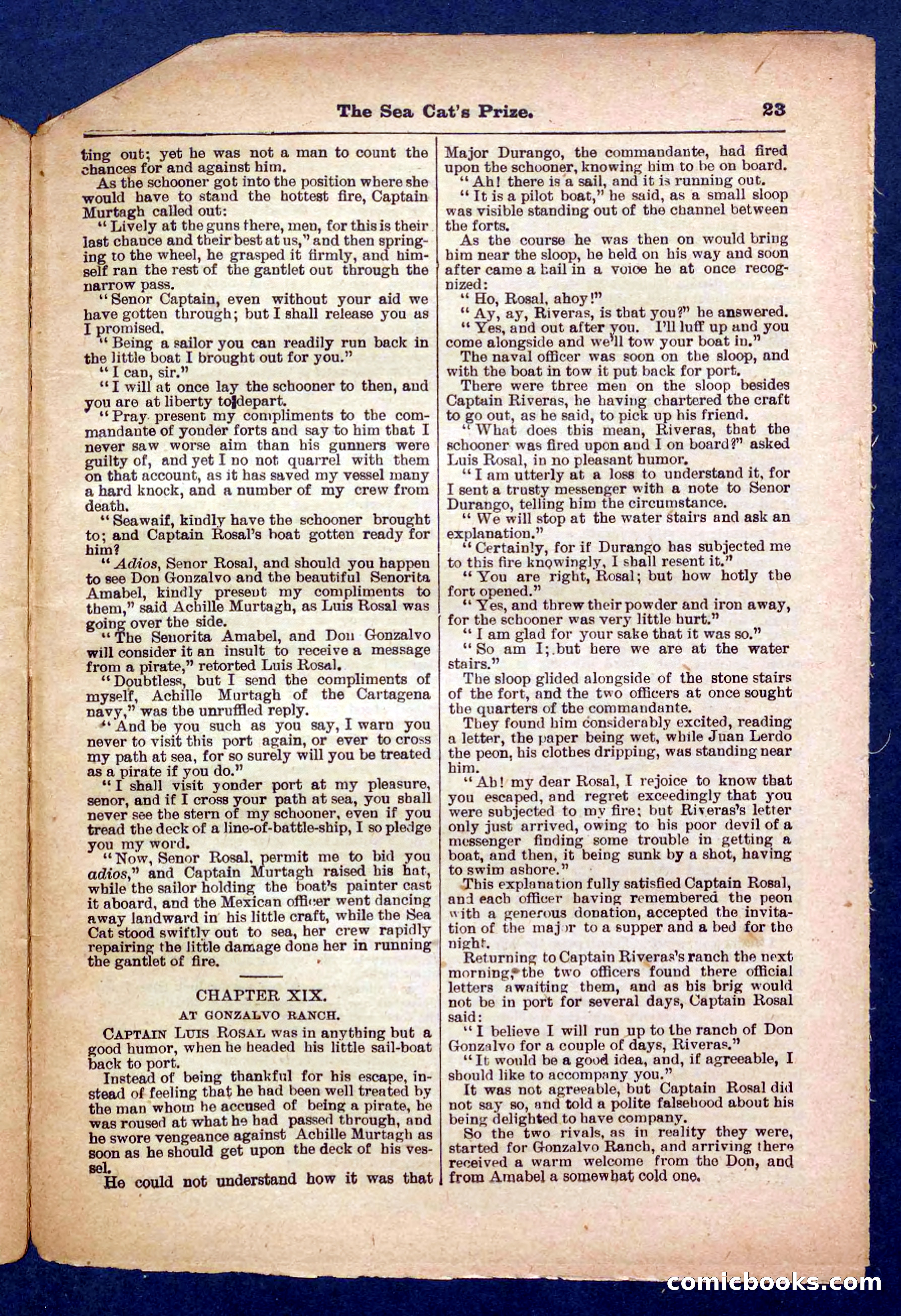 Beadle's Pocket Library No. 372 — page 23 of 32