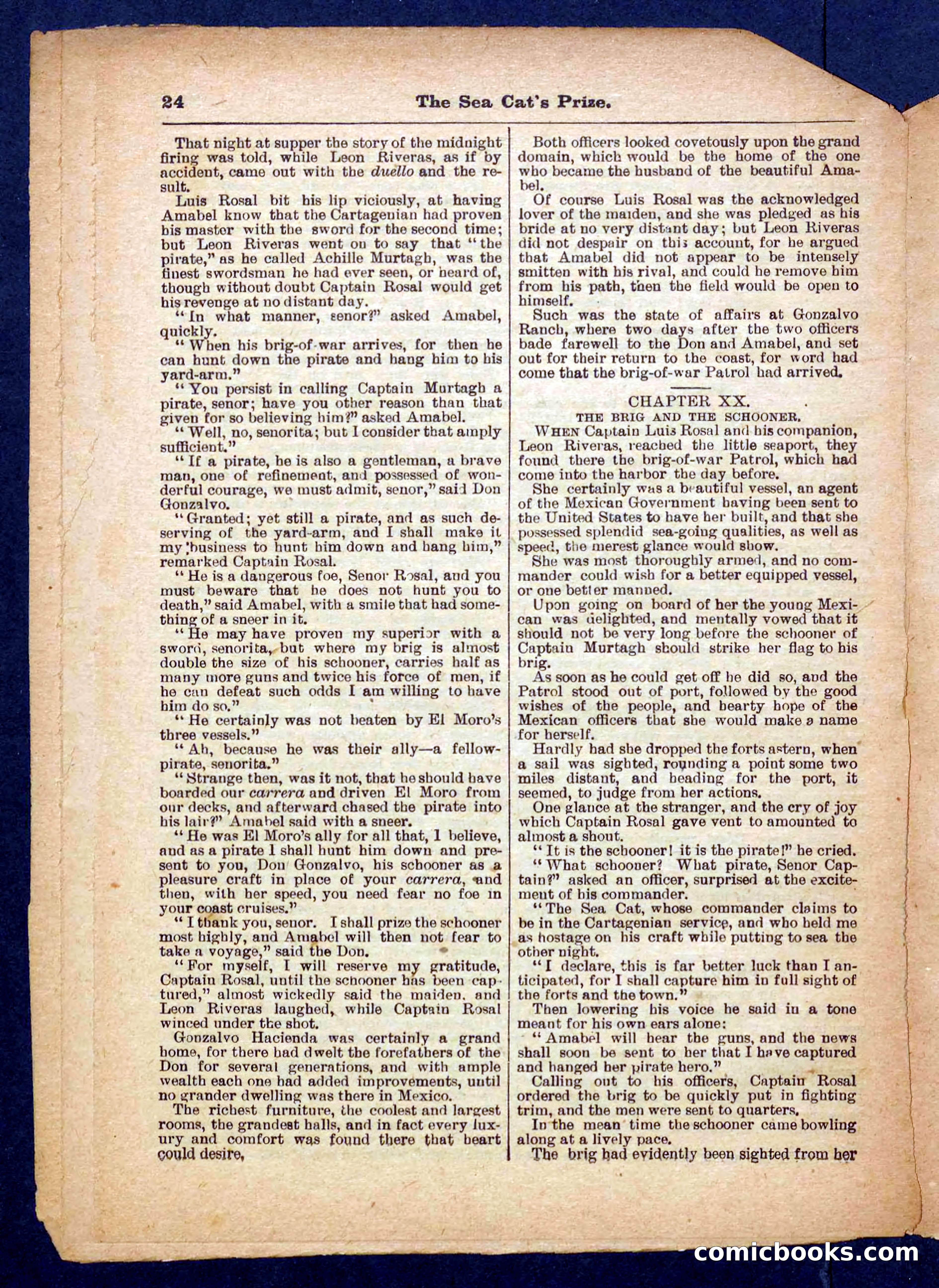 Beadle's Pocket Library No. 372 — page 24 of 32