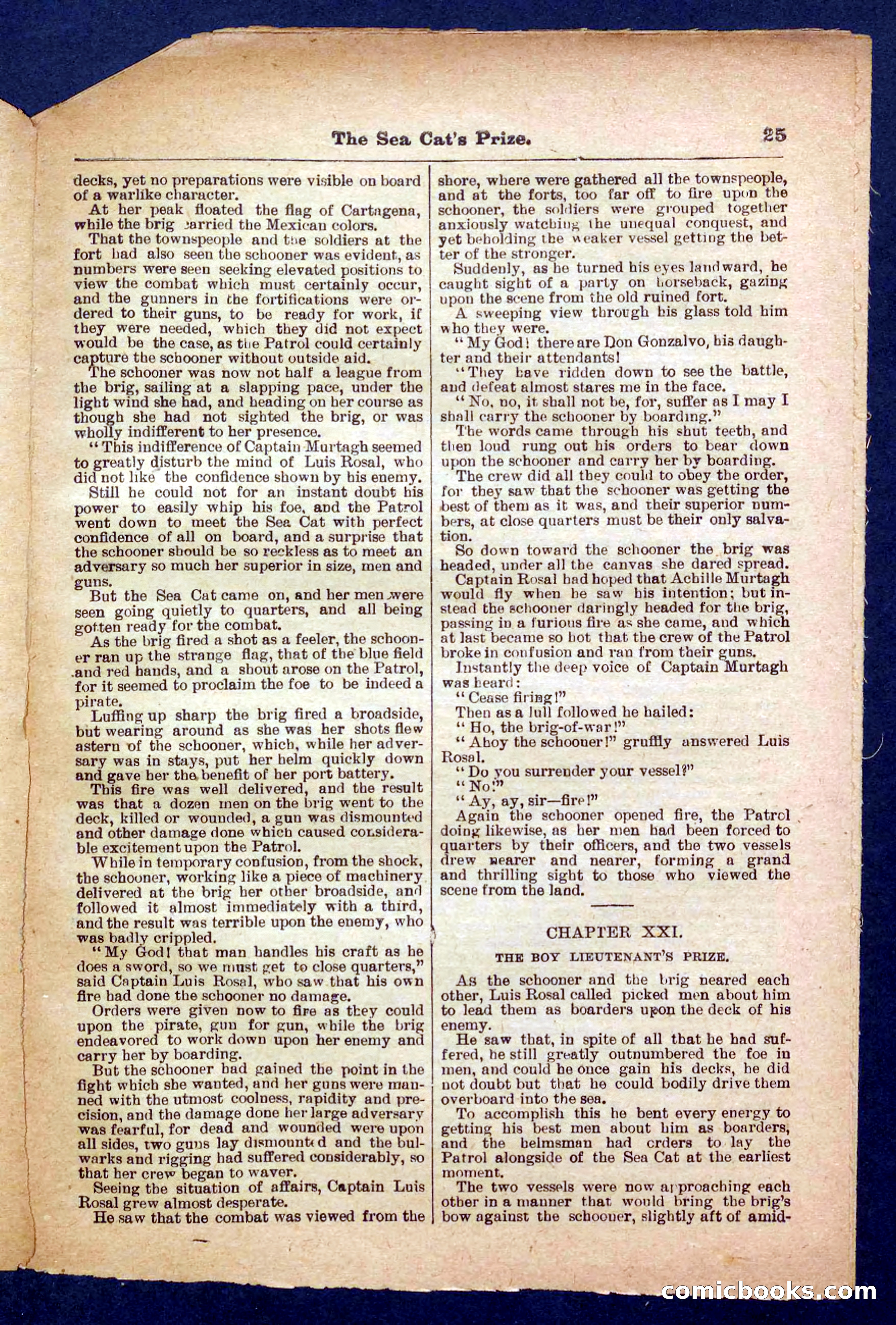 Beadle's Pocket Library No. 372 — page 25 of 32