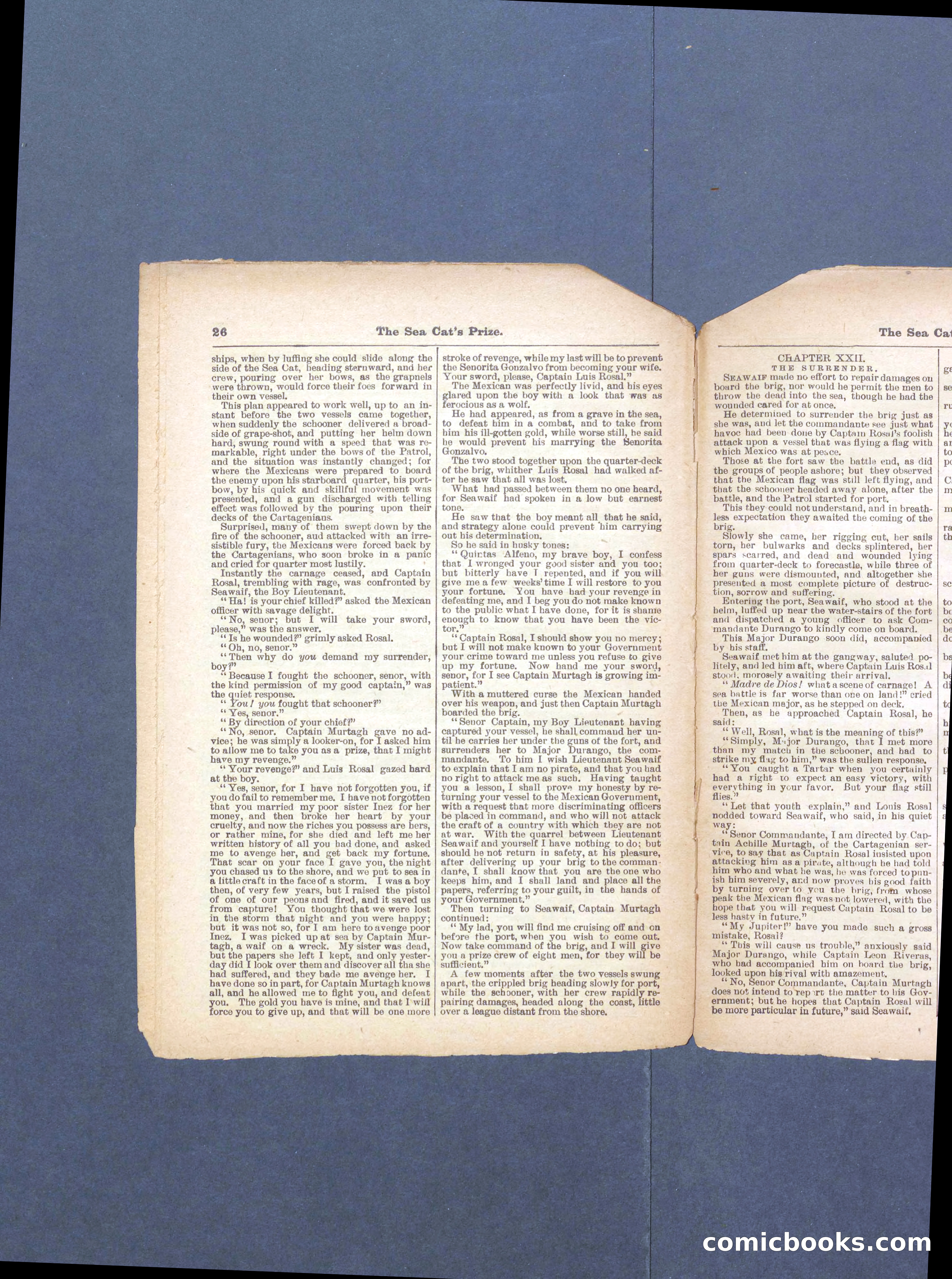 Beadle's Pocket Library No. 372 — page 26 of 32