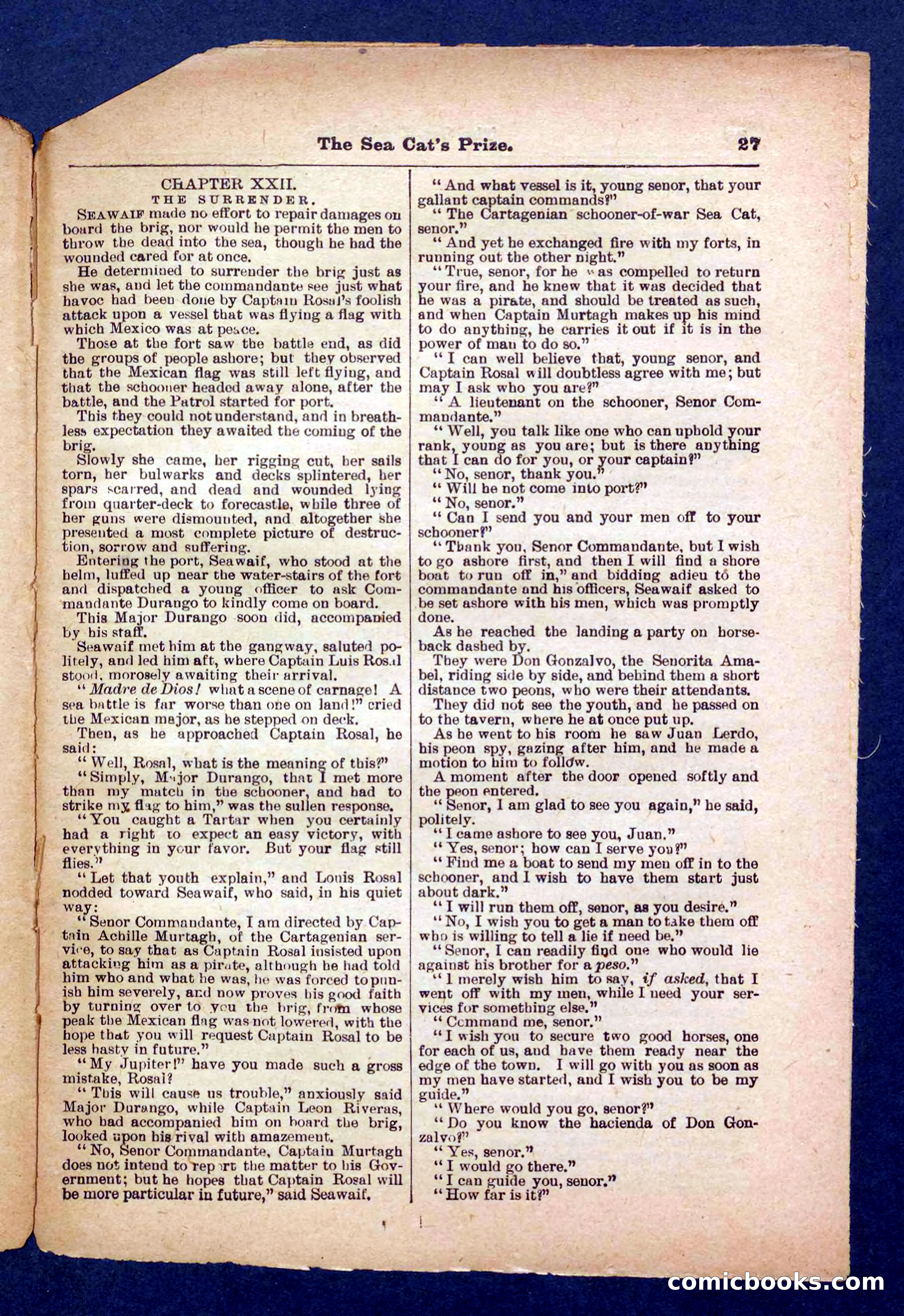 Beadle's Pocket Library No. 372 — page 27 of 32