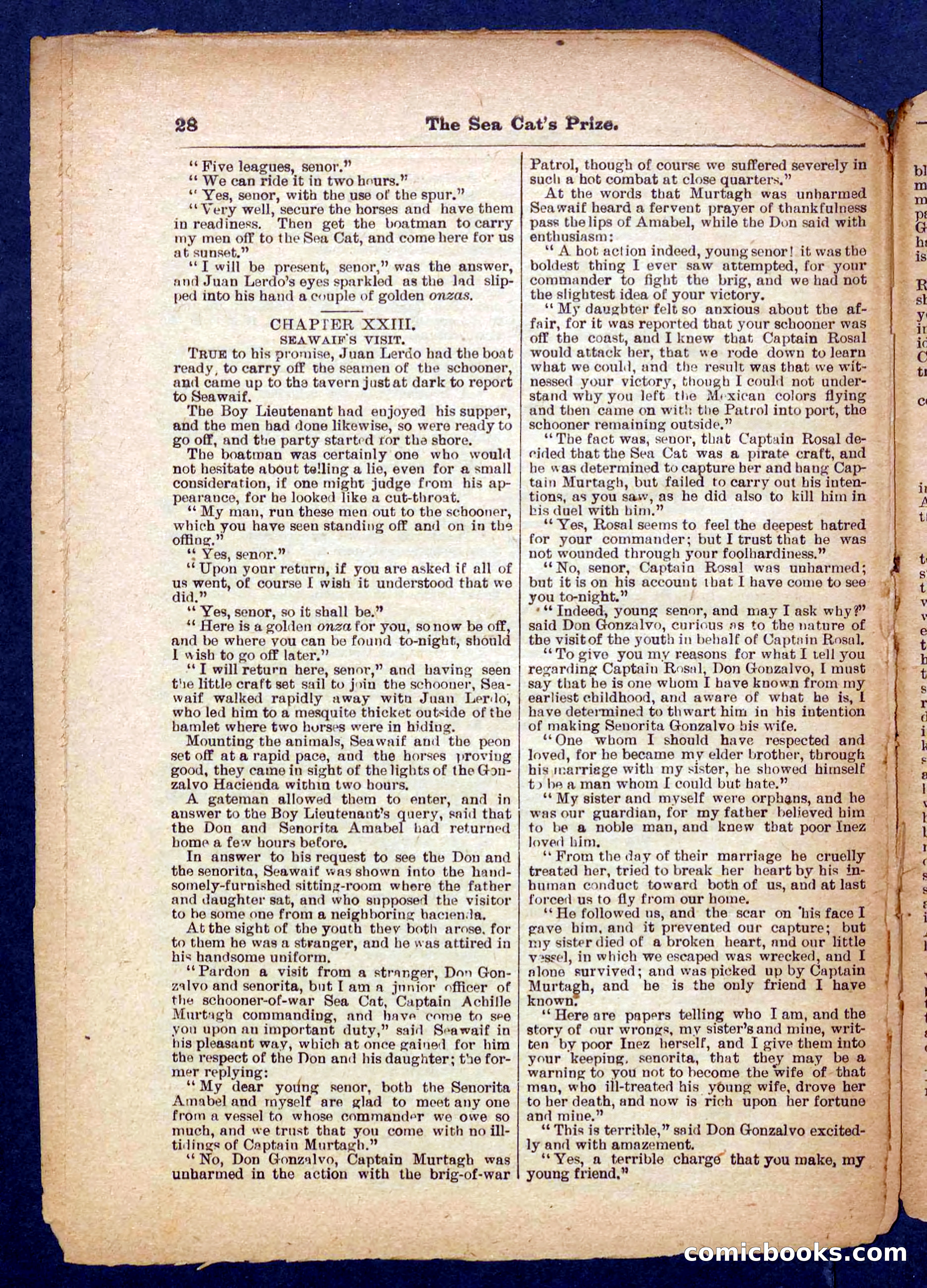 Beadle's Pocket Library No. 372 — page 28 of 32