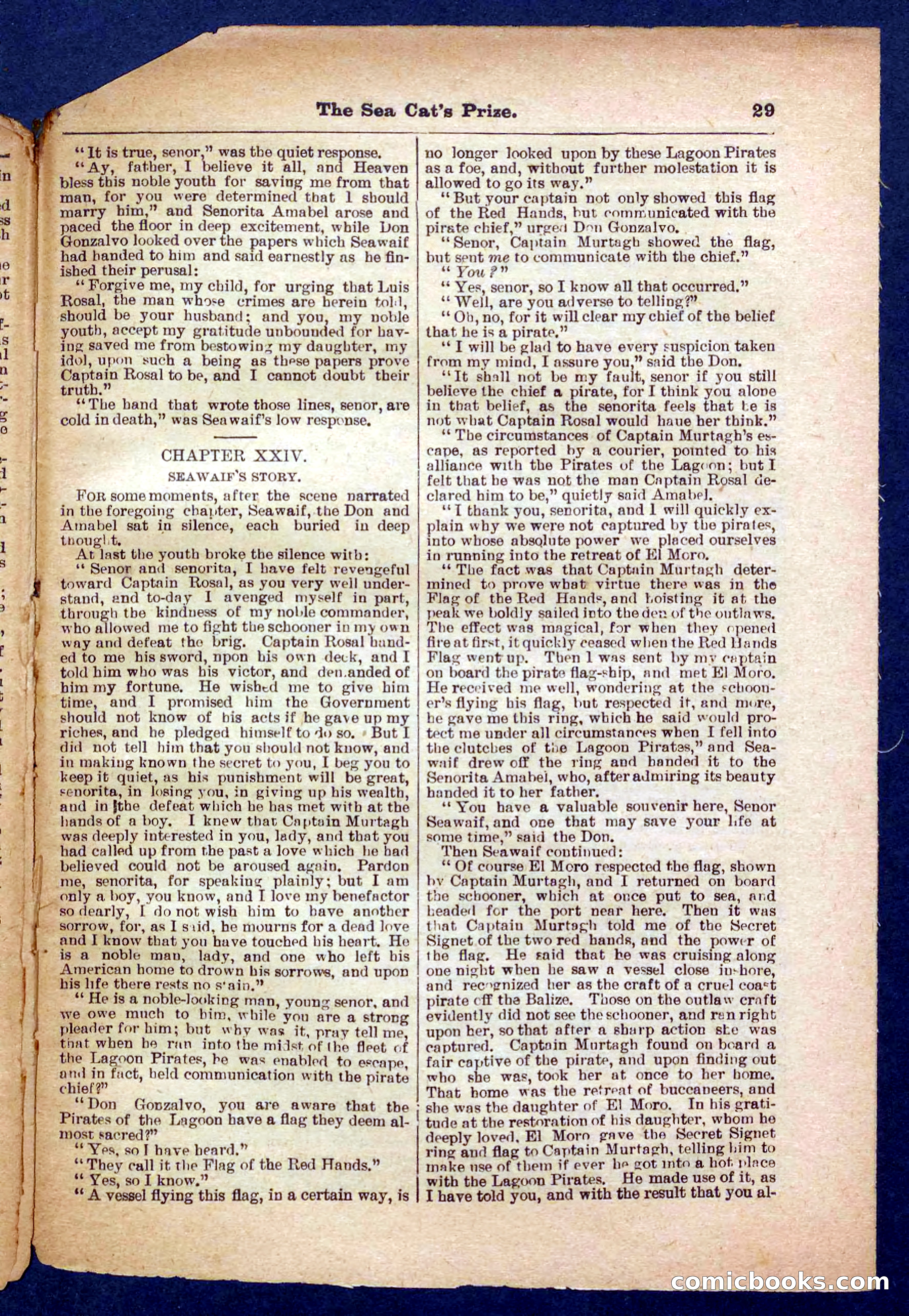 Beadle's Pocket Library No. 372 — page 29 of 32