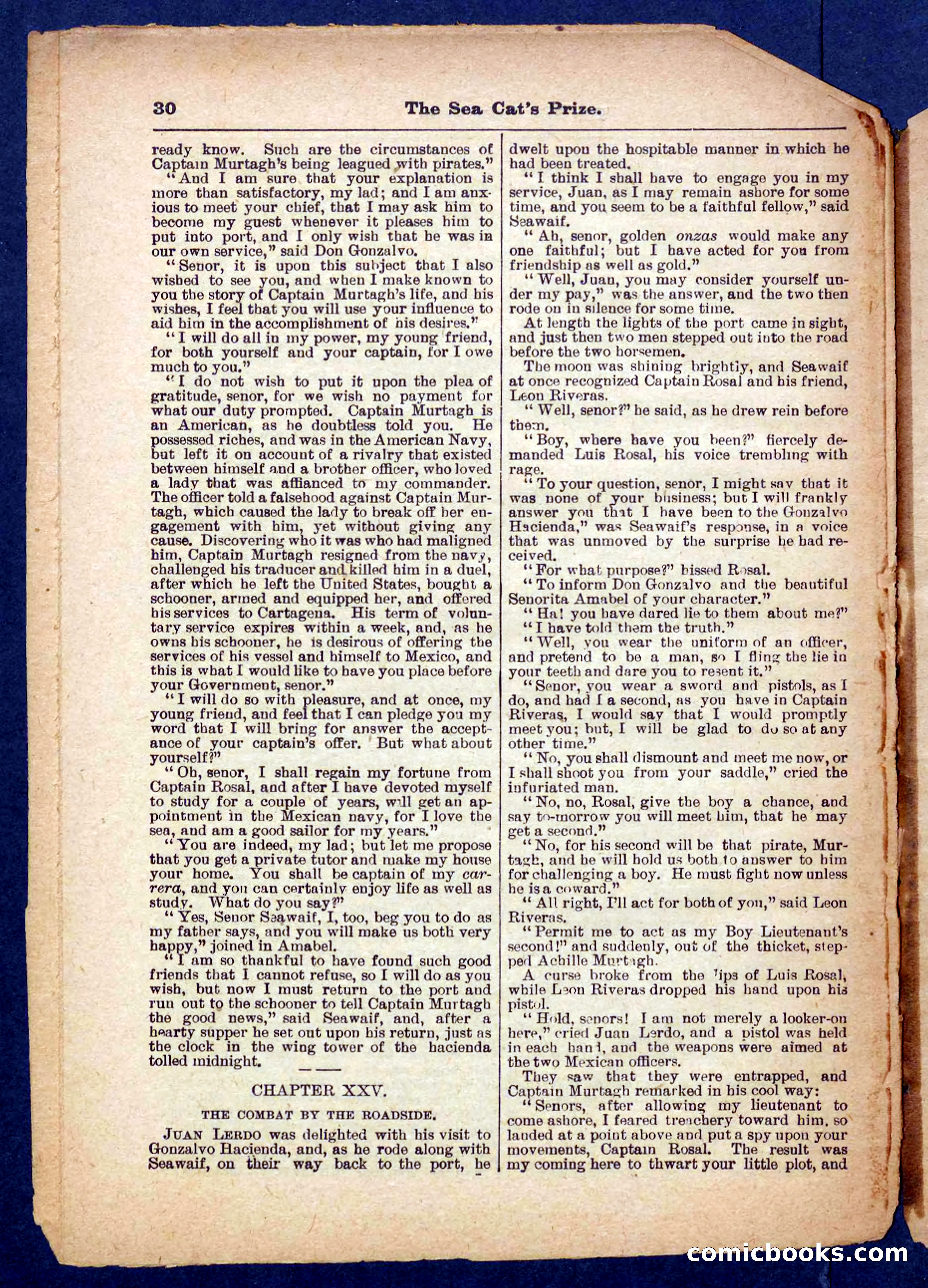 Beadle's Pocket Library No. 372 — page 30 of 32