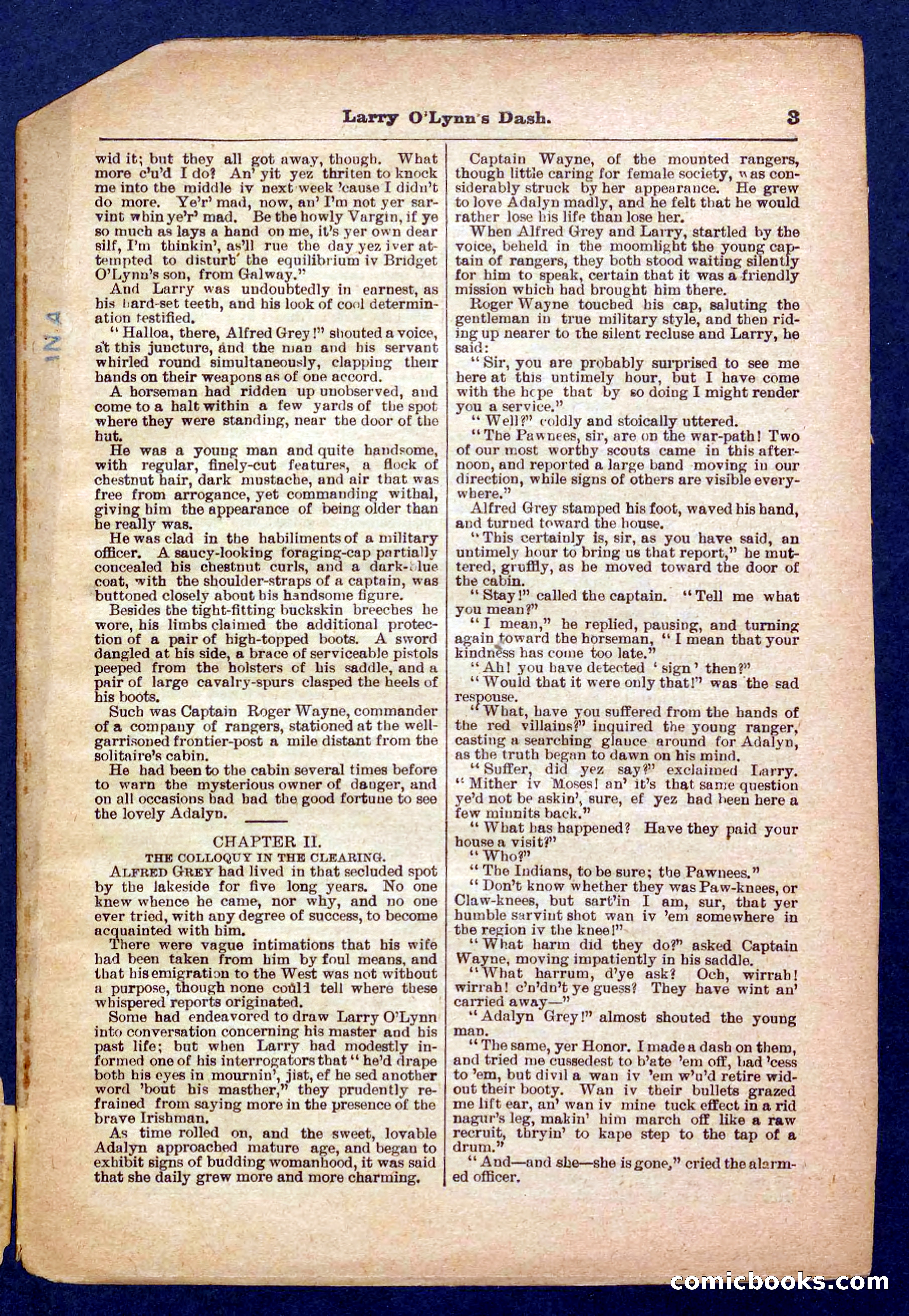 Beadle's Pocket Library No. 373 — page 3 of 32