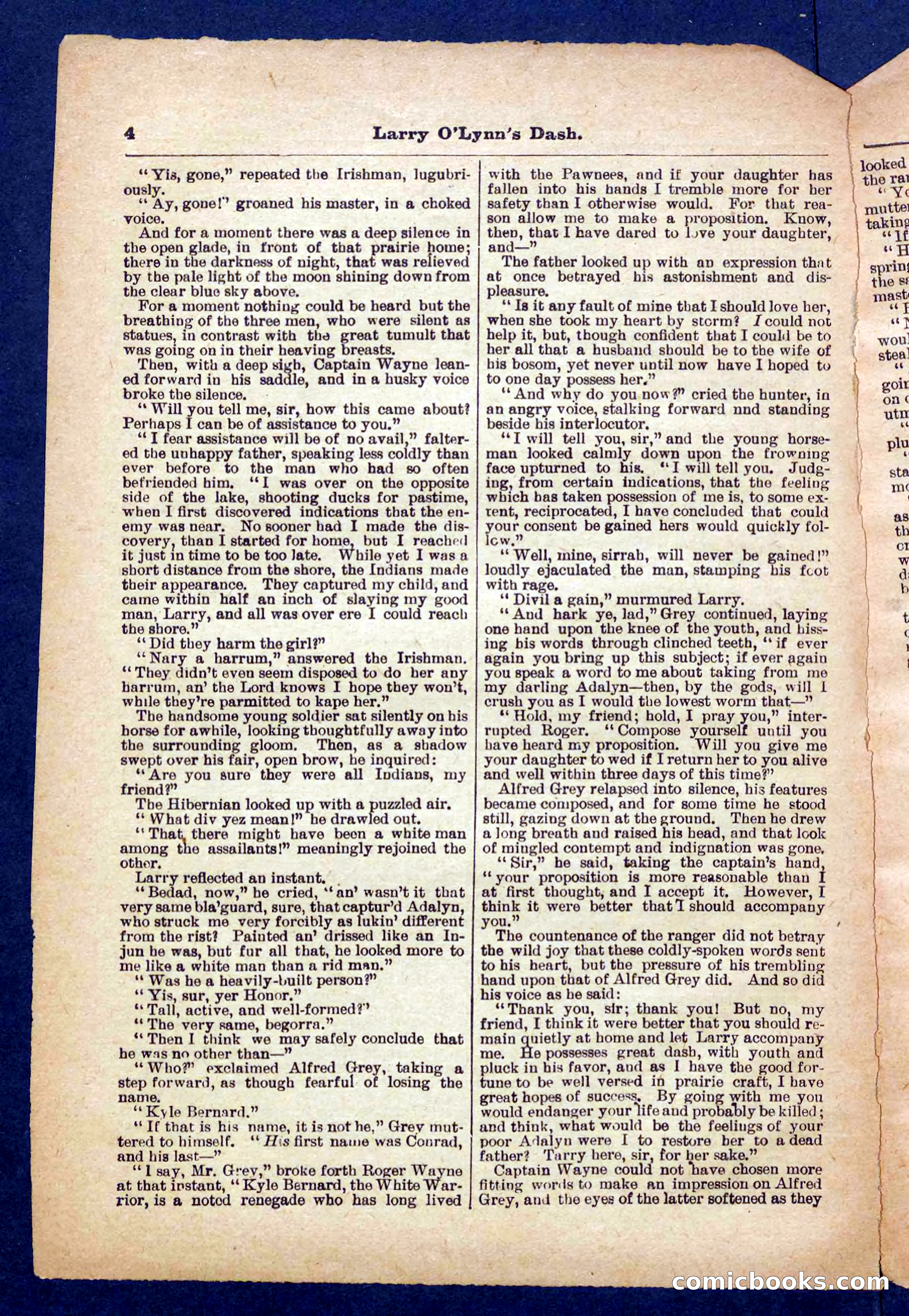 Beadle's Pocket Library No. 373 — page 4 of 32