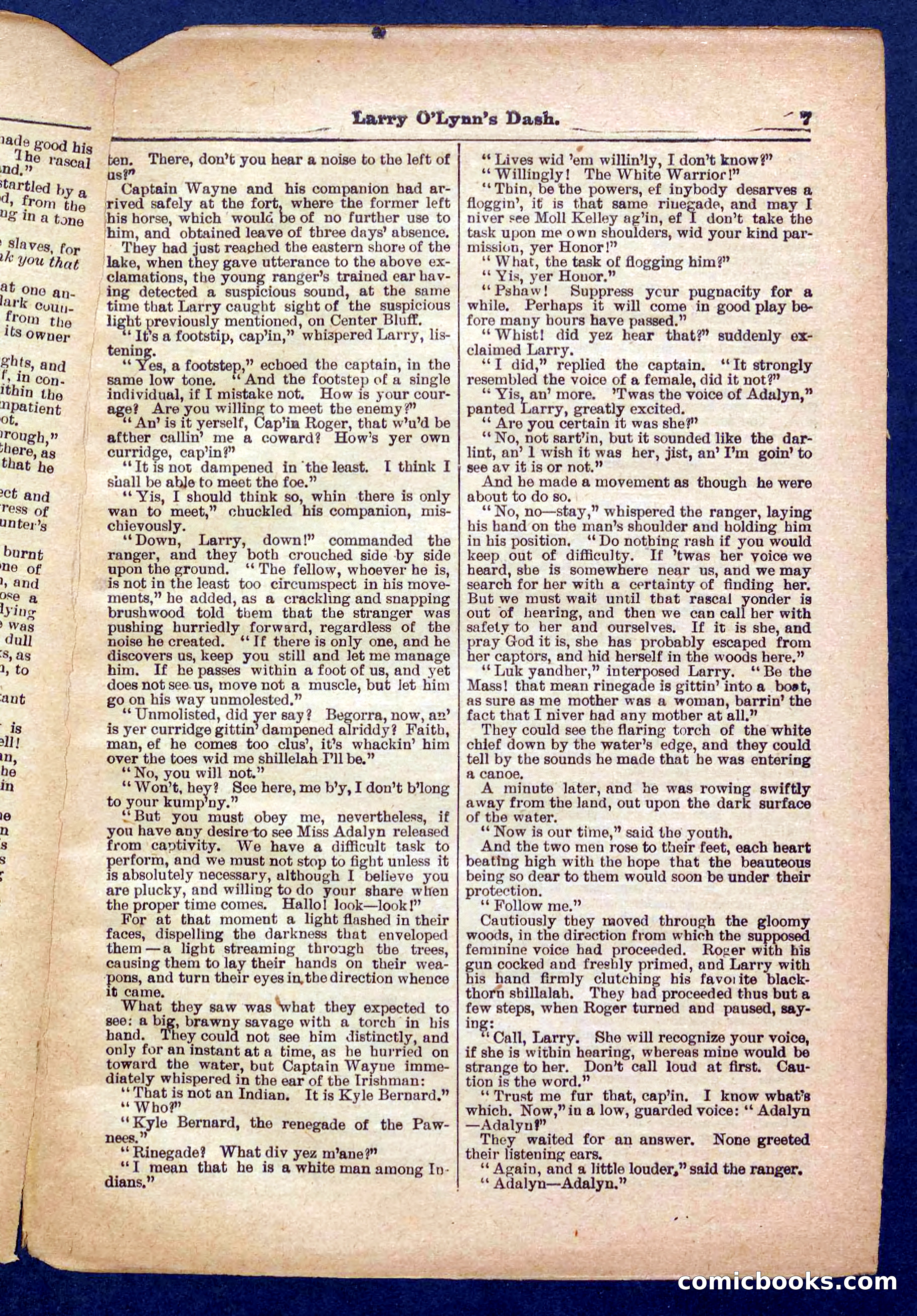 Beadle's Pocket Library No. 373 — page 7 of 32