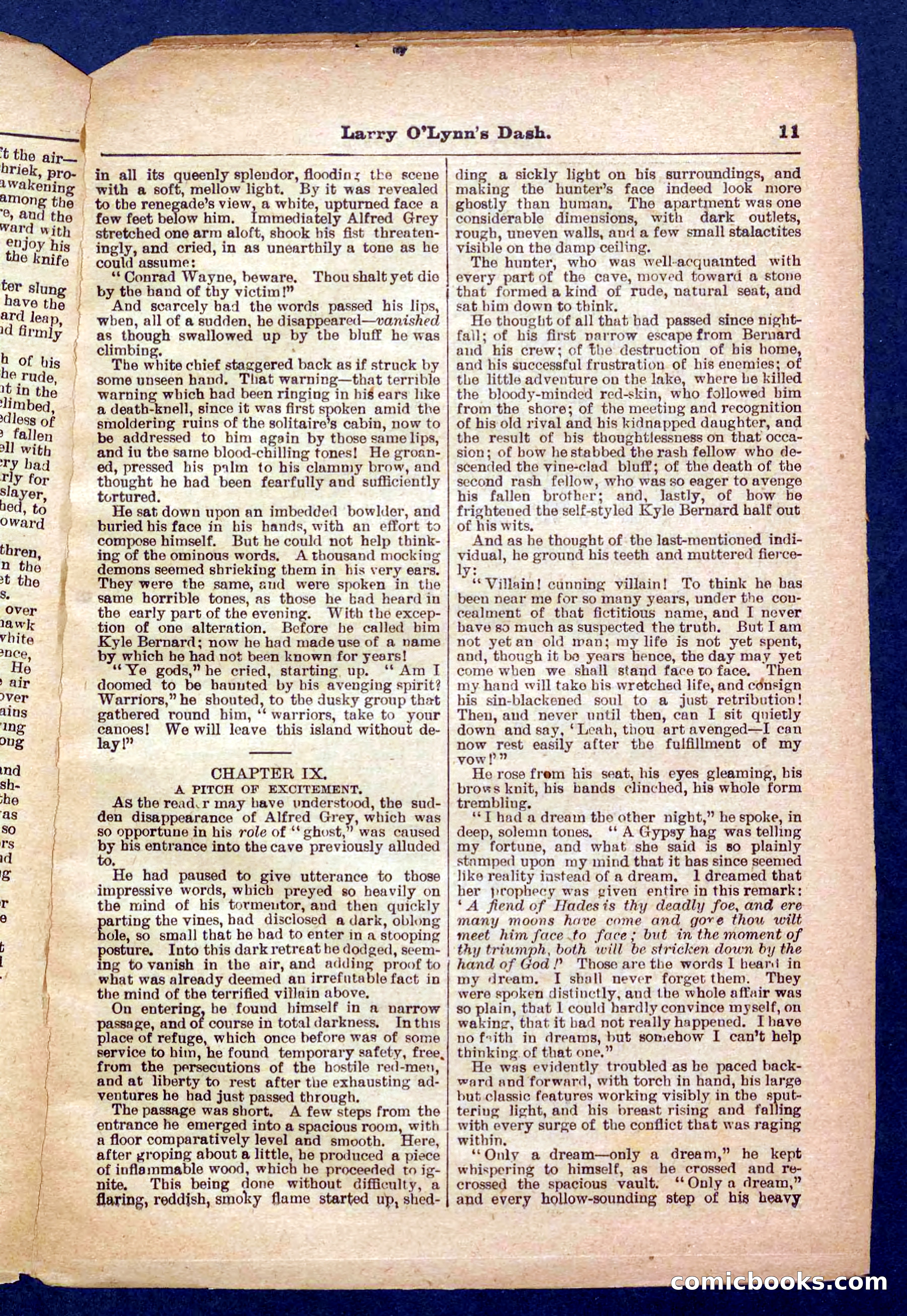 Beadle's Pocket Library No. 373 — page 11 of 32