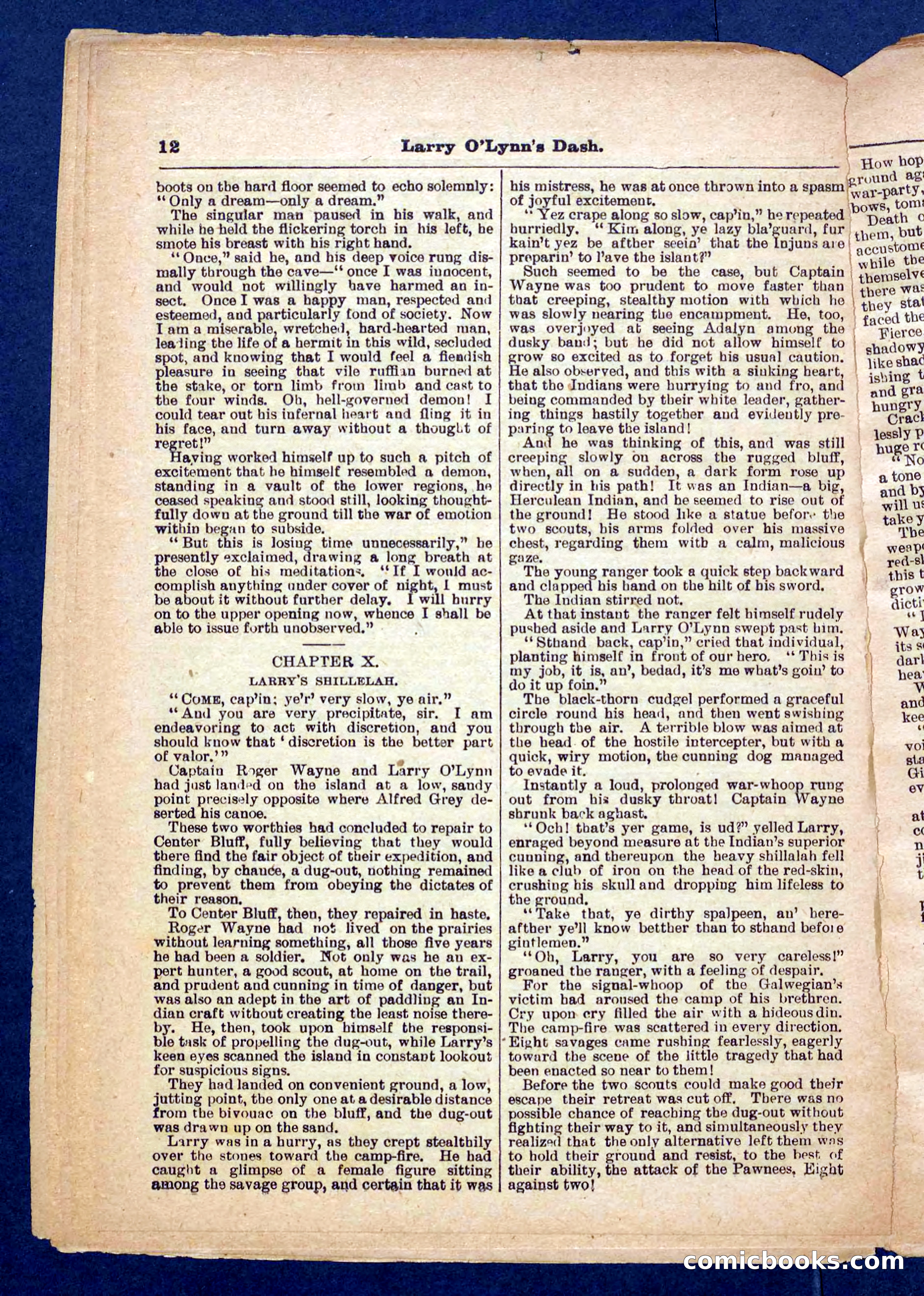 Beadle's Pocket Library No. 373 — page 12 of 32