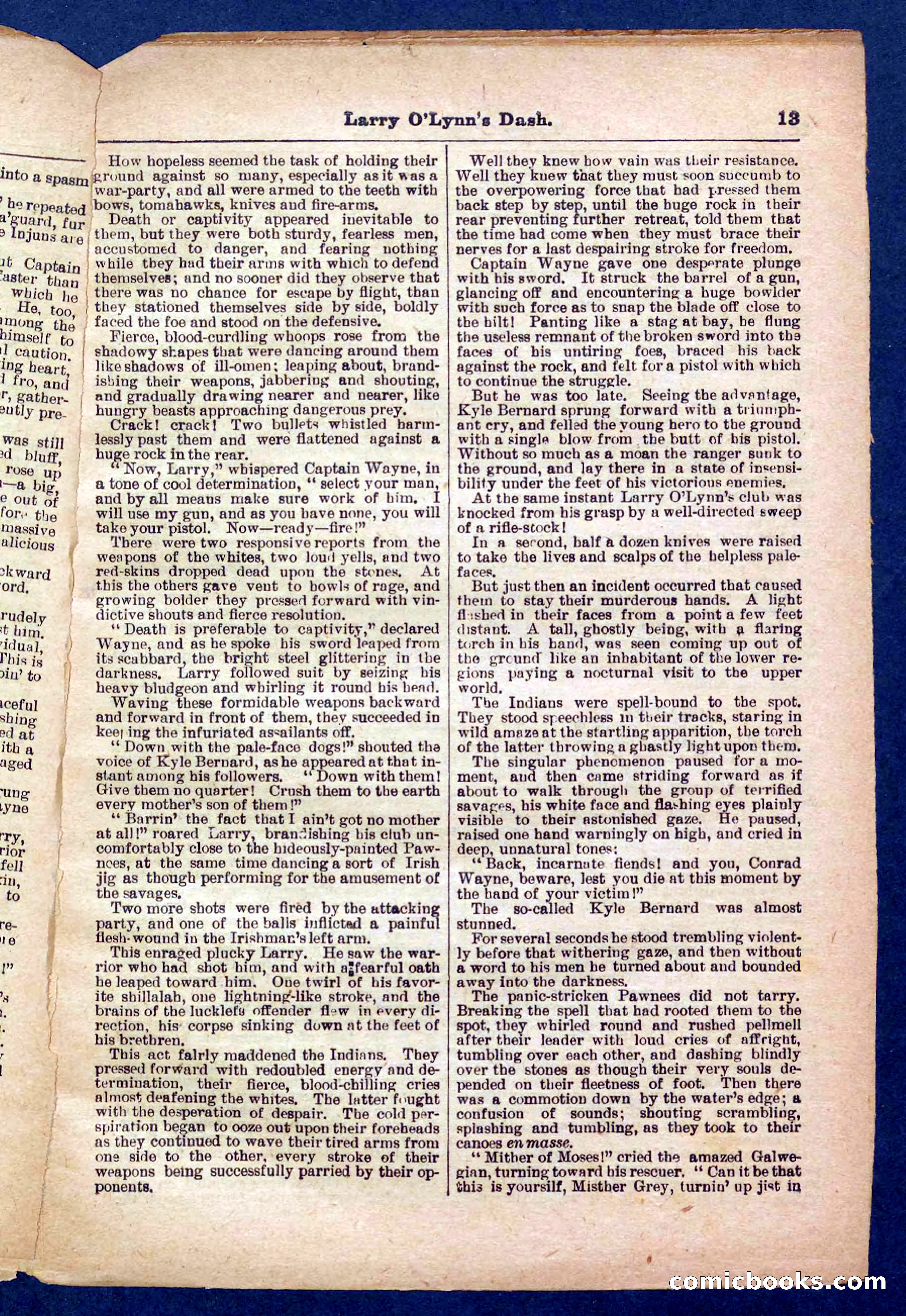 Beadle's Pocket Library No. 373 — page 13 of 32