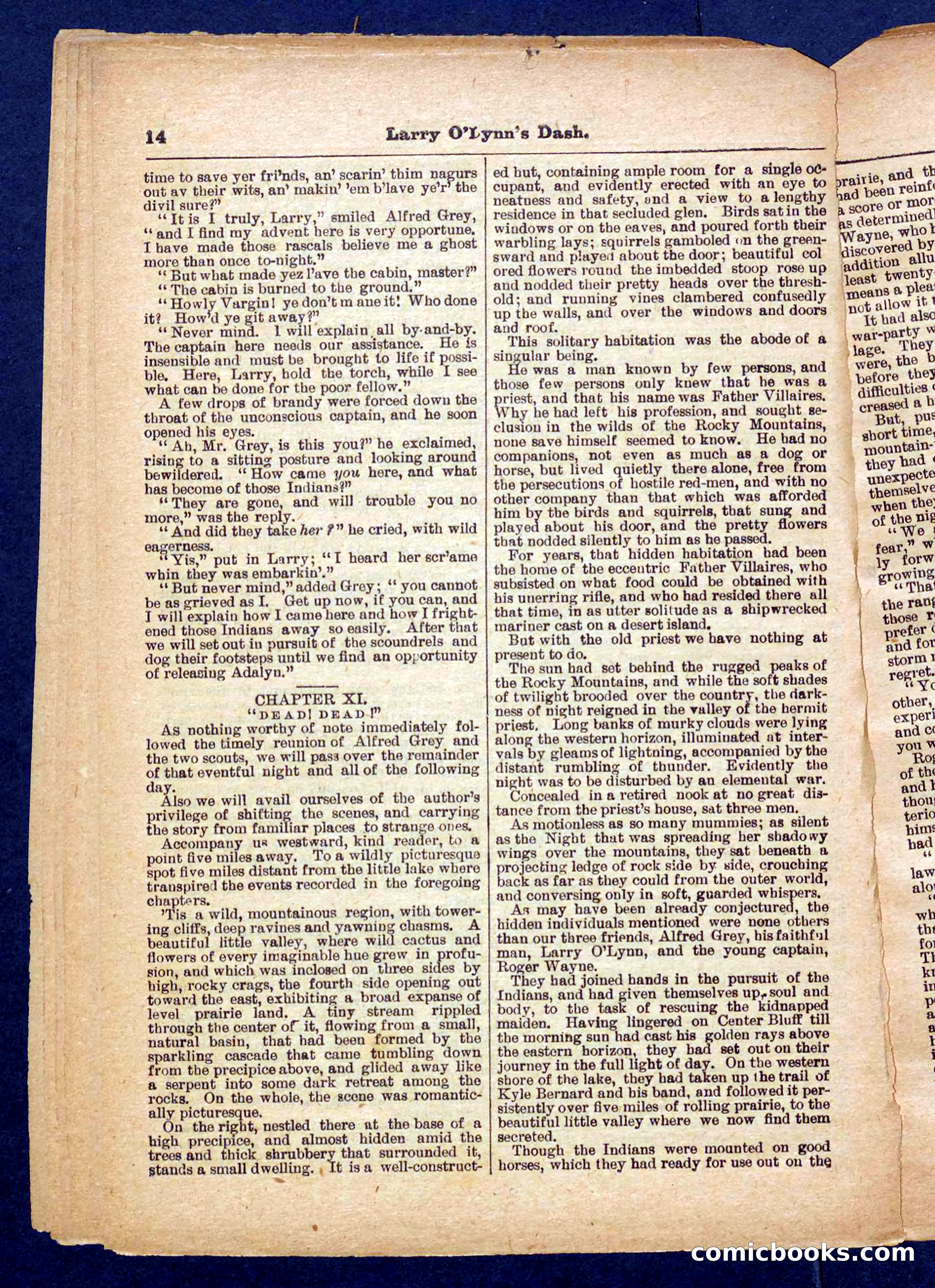 Beadle's Pocket Library No. 373 — page 14 of 32