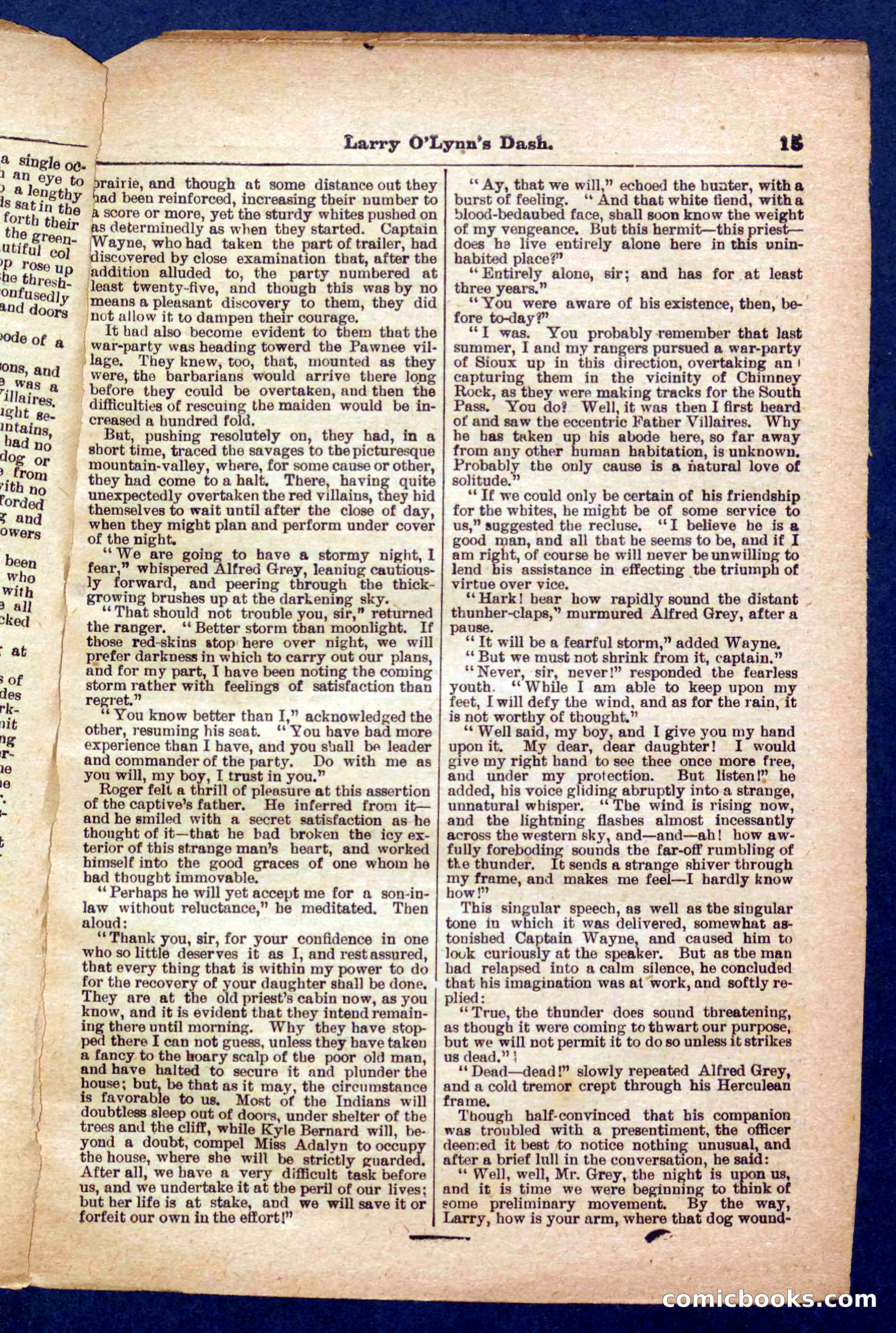 Beadle's Pocket Library No. 373 — page 15 of 32
