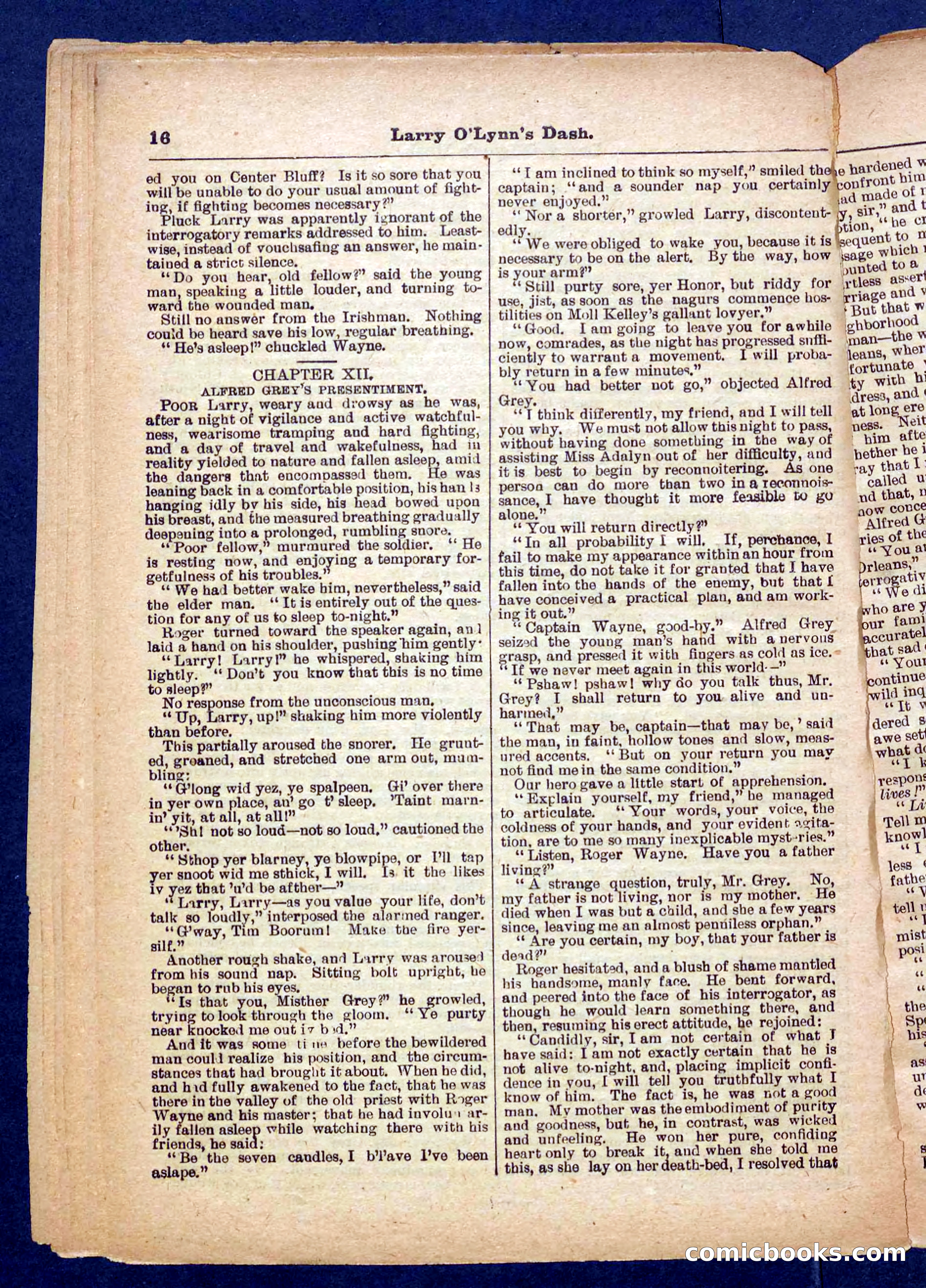 Beadle's Pocket Library No. 373 — page 16 of 32