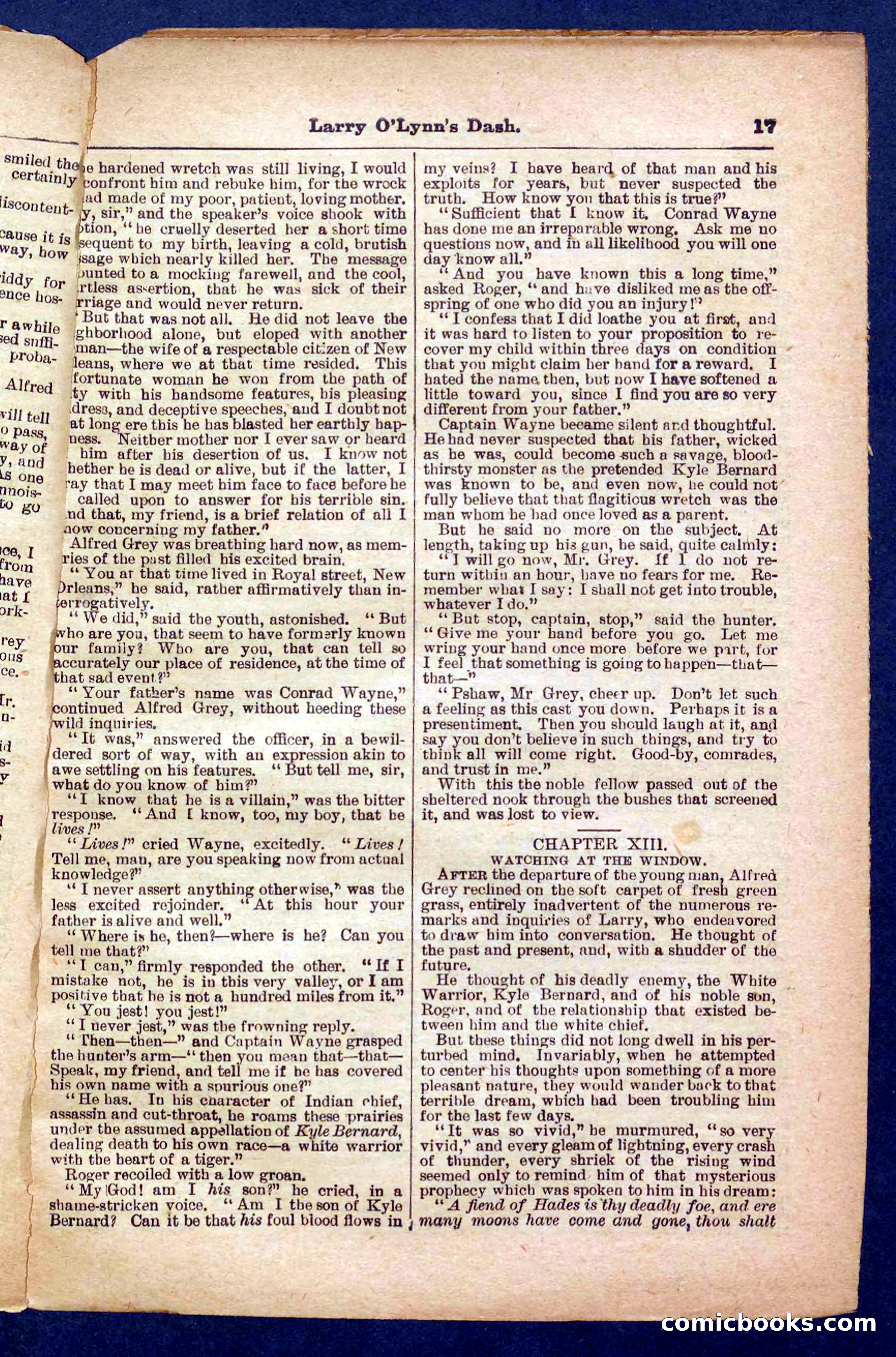 Beadle's Pocket Library No. 373 — page 17 of 32