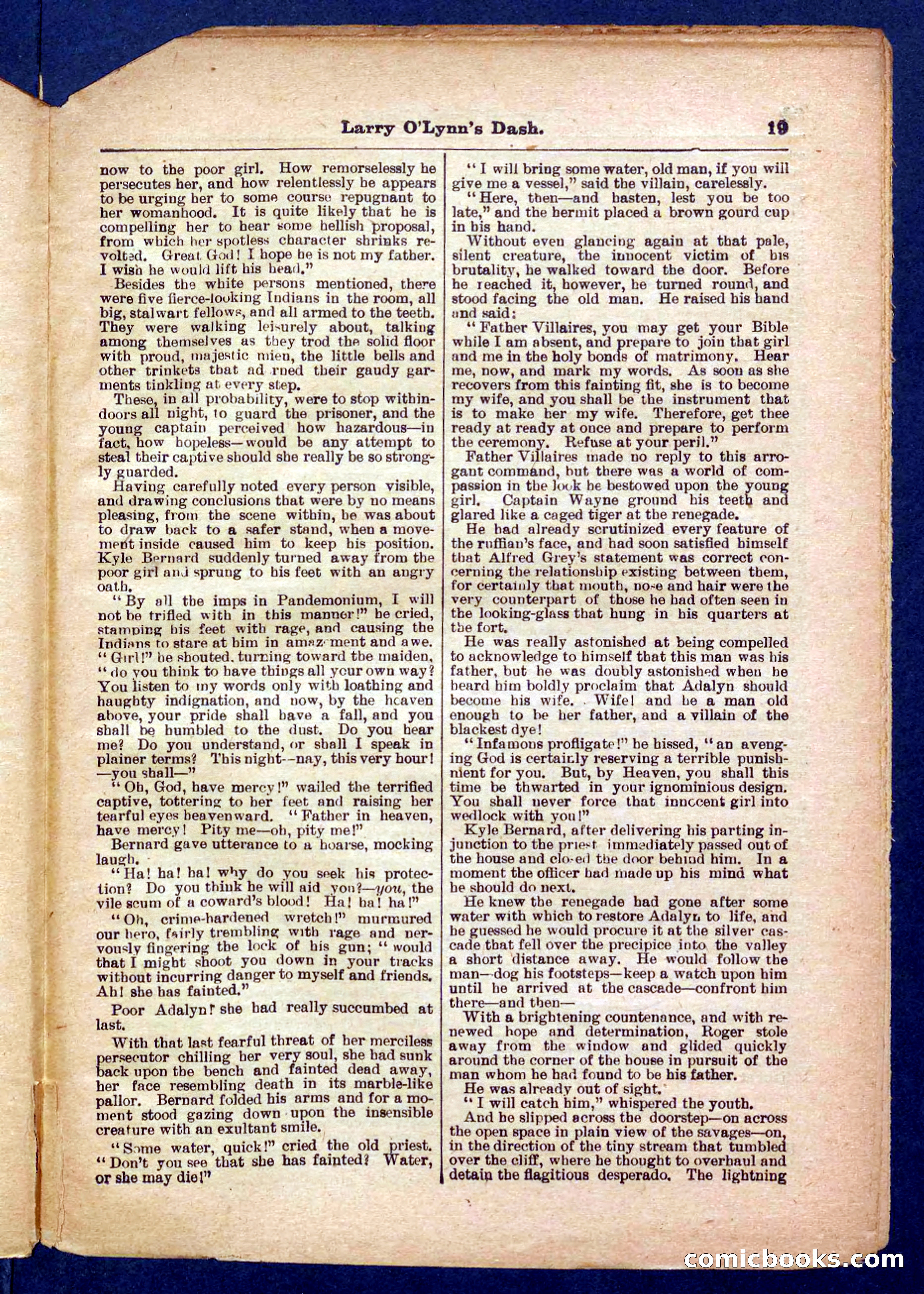 Beadle's Pocket Library No. 373 — page 19 of 32
