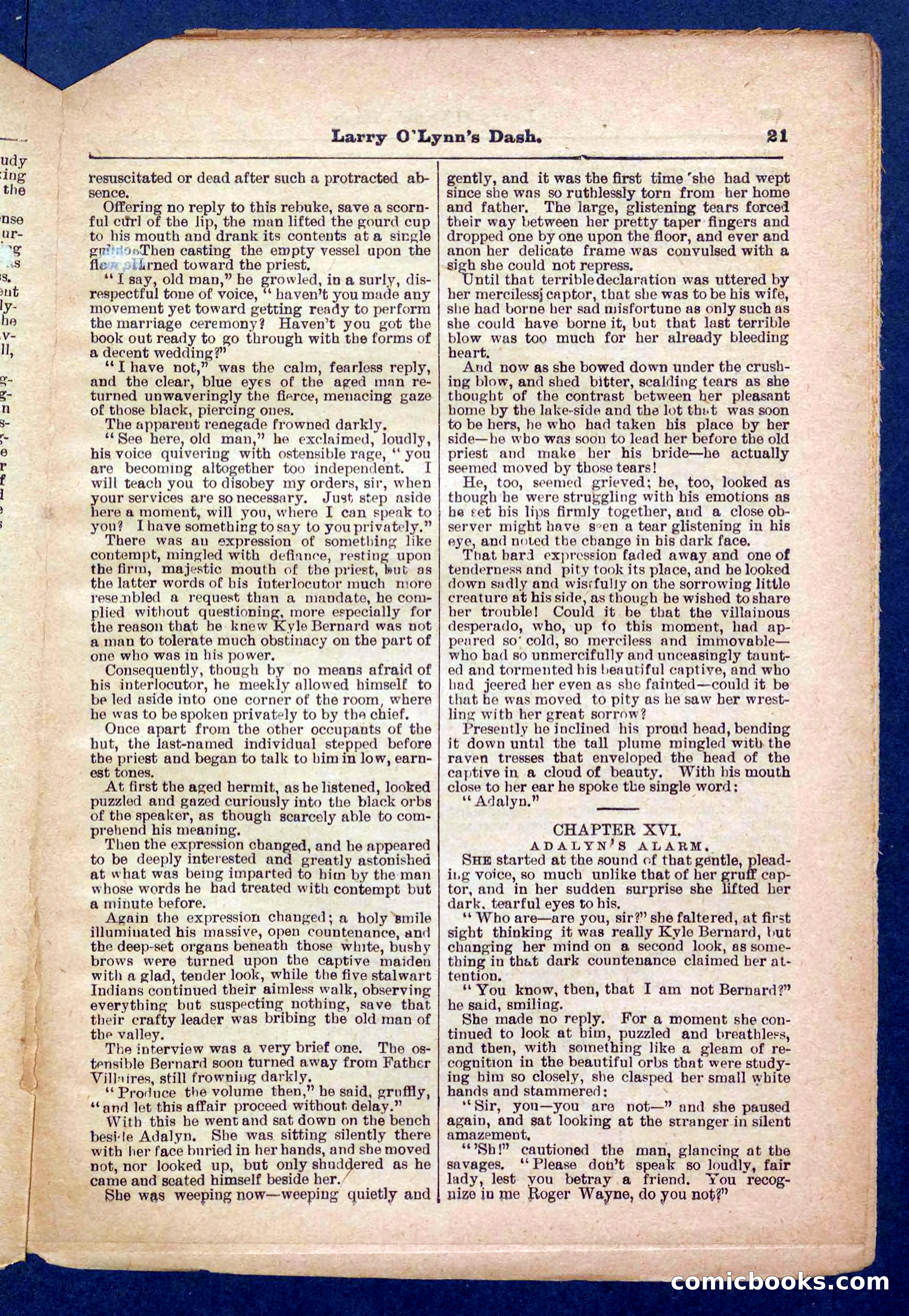 Beadle's Pocket Library No. 373 — page 21 of 32