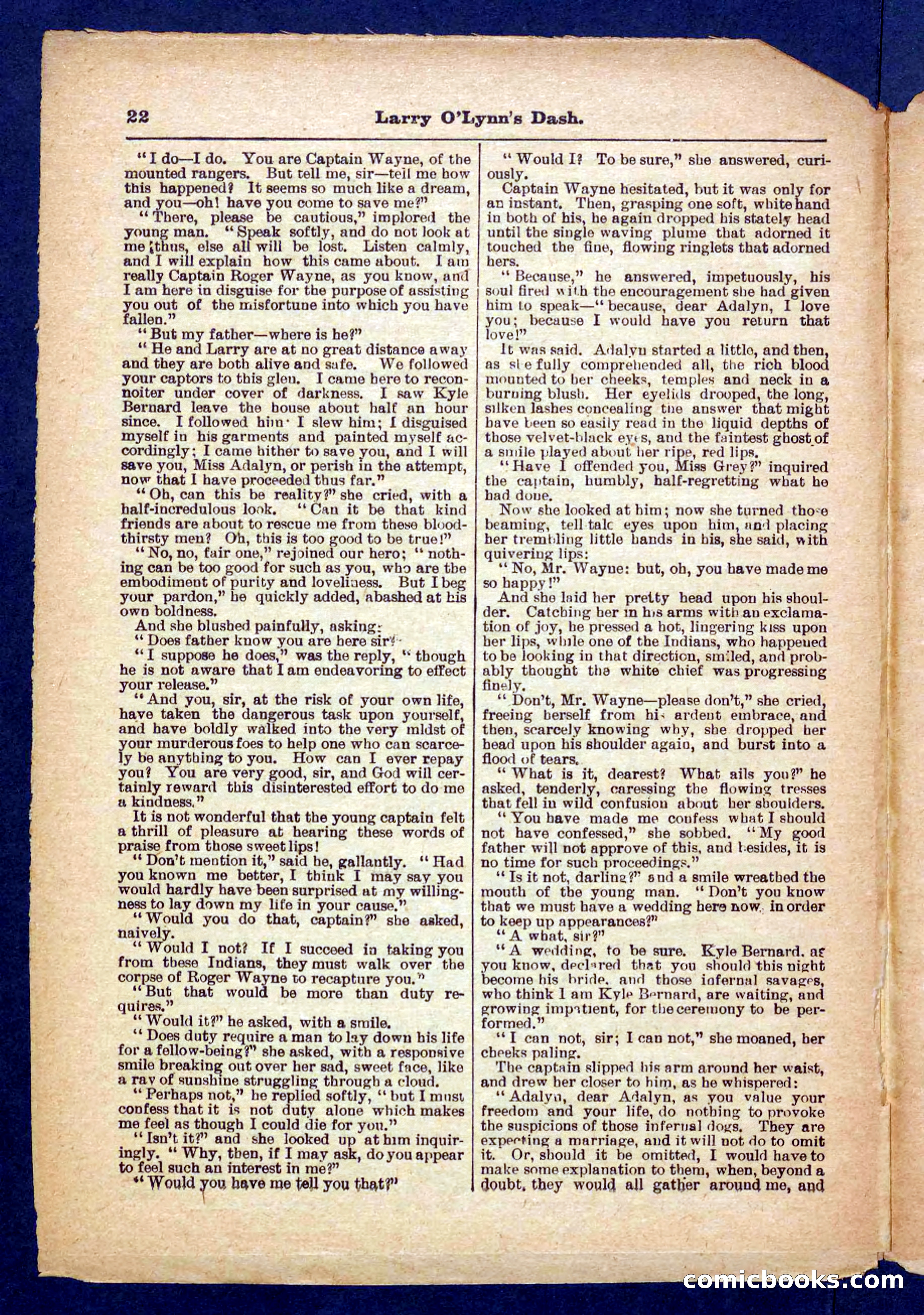 Beadle's Pocket Library No. 373 — page 22 of 32
