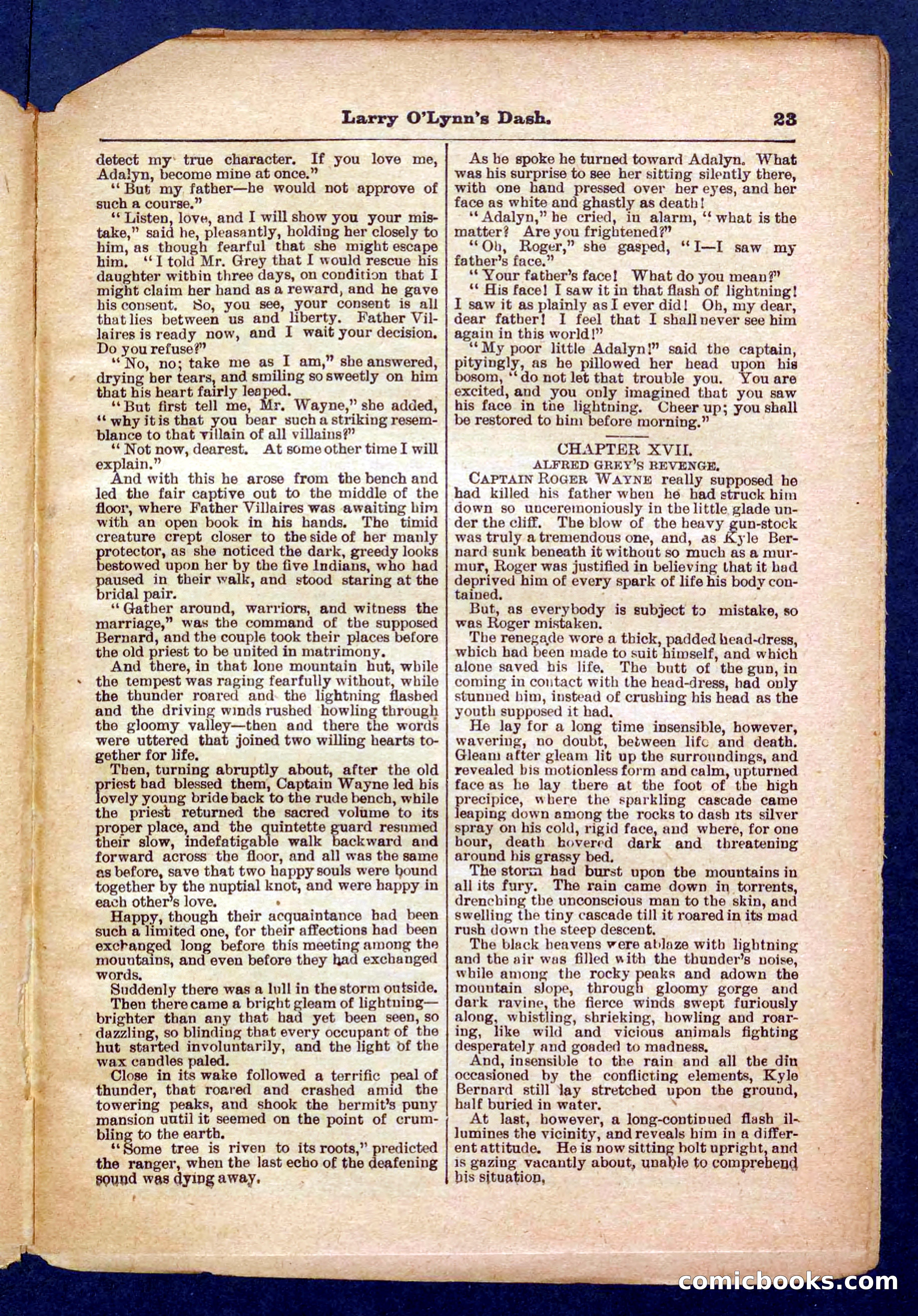Beadle's Pocket Library No. 373 — page 23 of 32