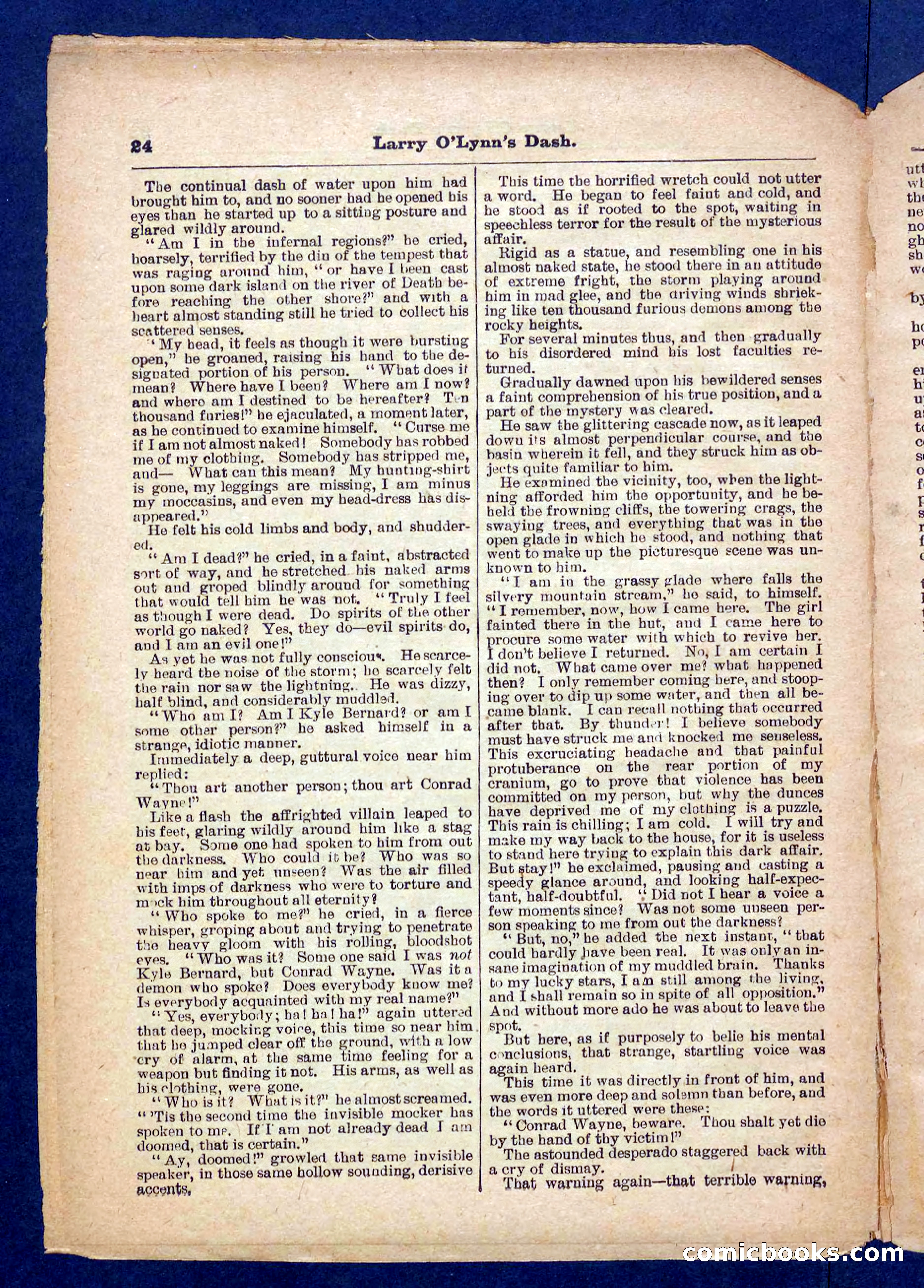 Beadle's Pocket Library No. 373 — page 24 of 32