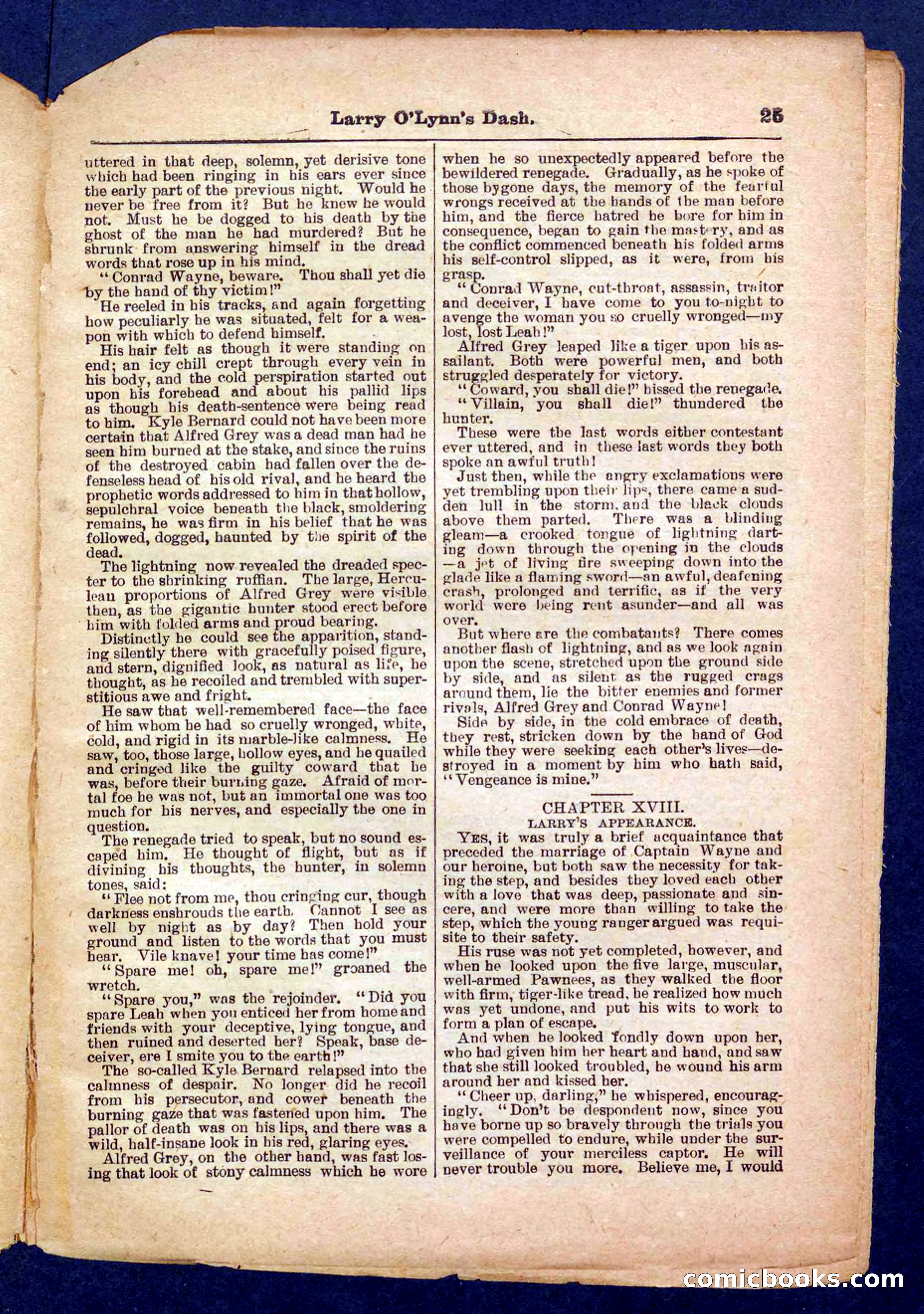 Beadle's Pocket Library No. 373 — page 25 of 32