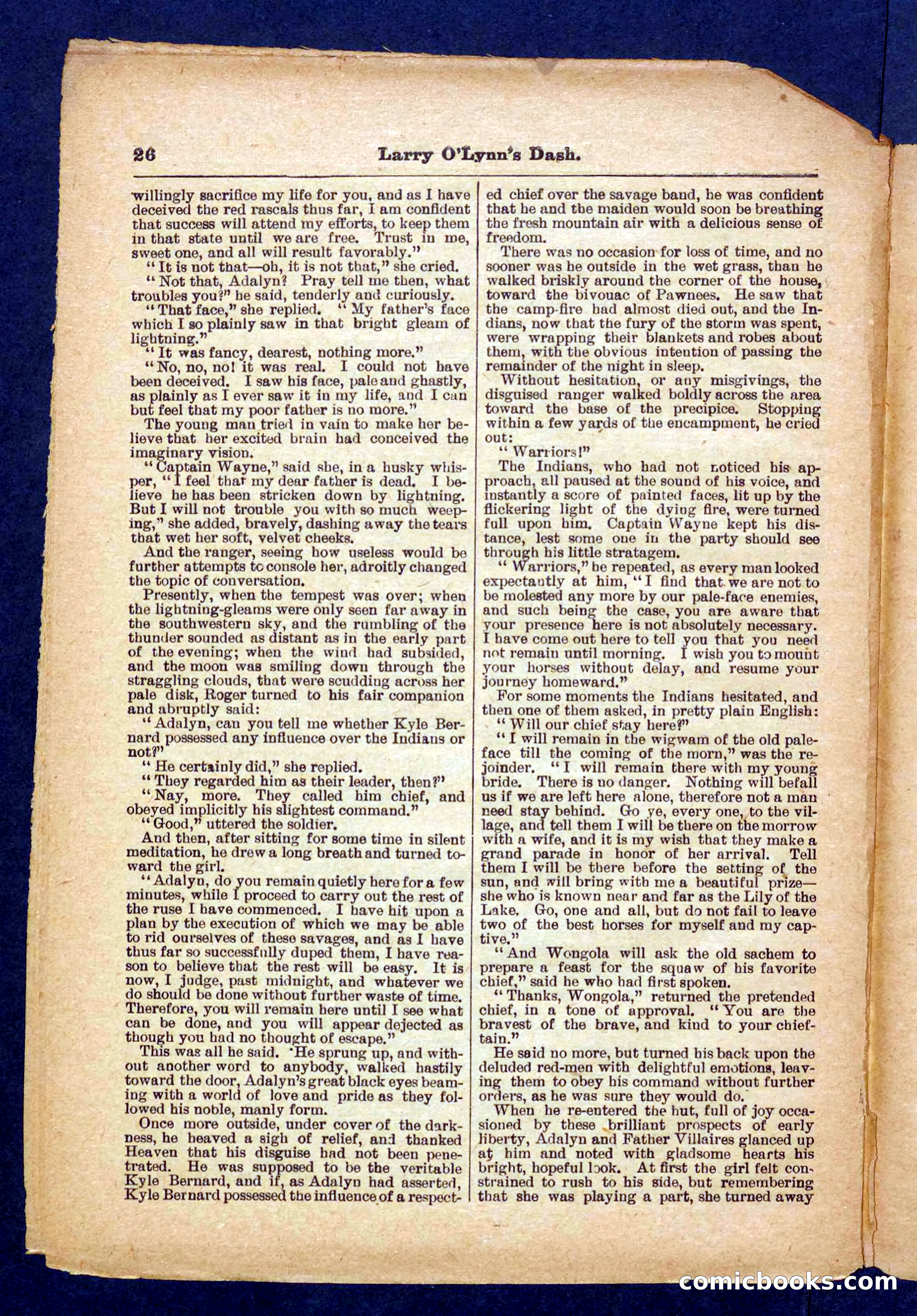Beadle's Pocket Library No. 373 — page 26 of 32