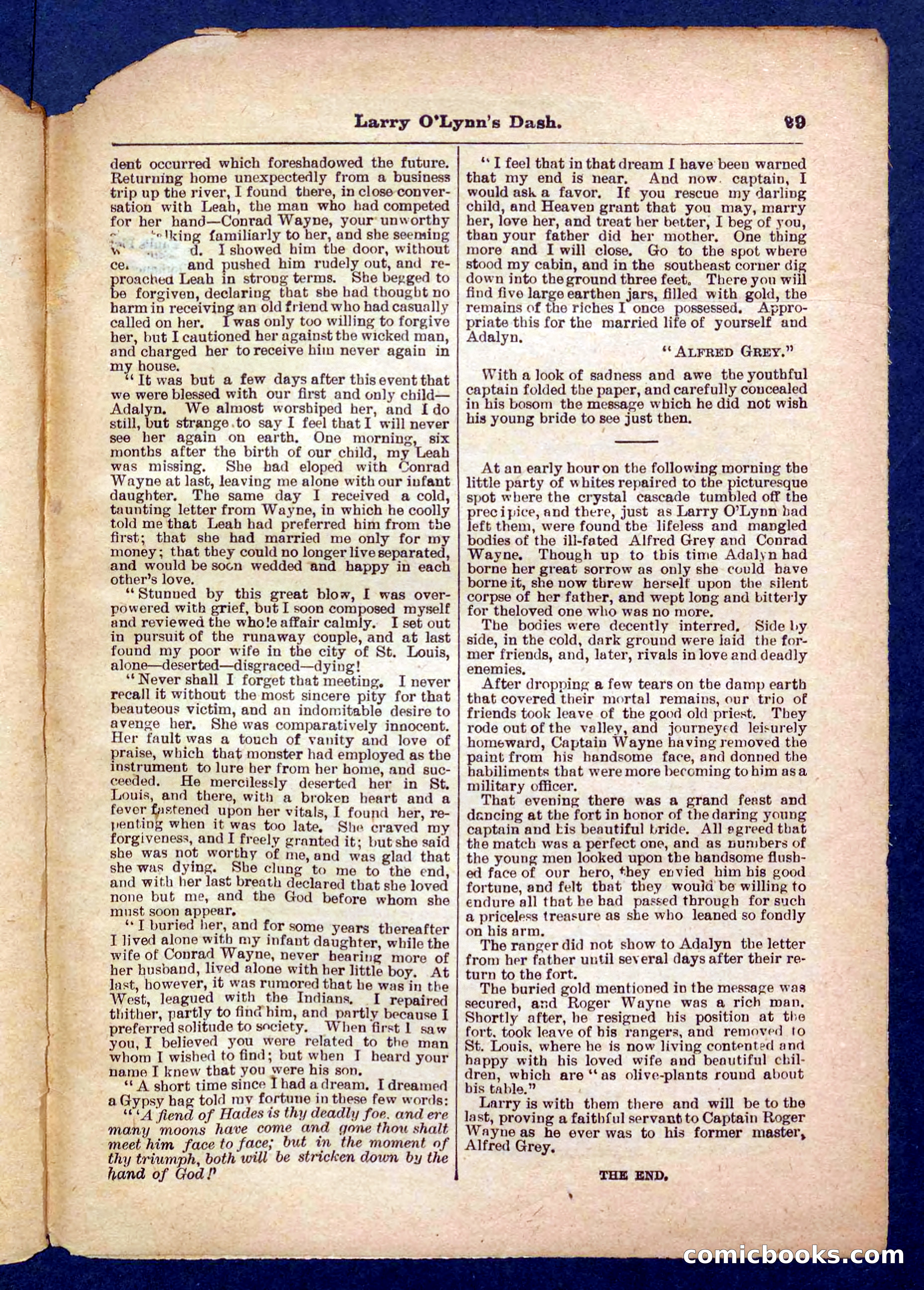 Beadle's Pocket Library No. 373 — page 29 of 32