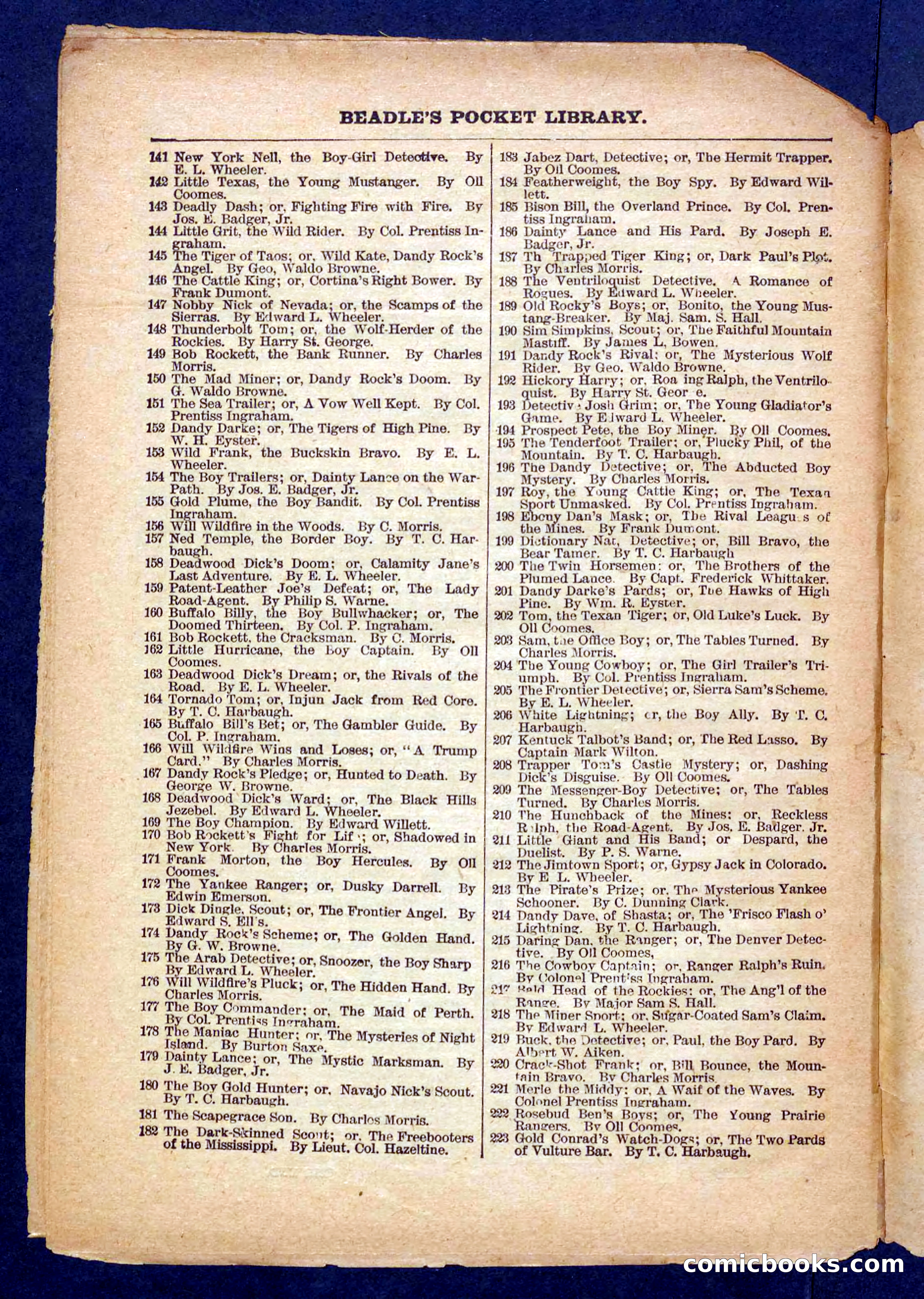 Beadle's Pocket Library No. 373 — page 30 of 32