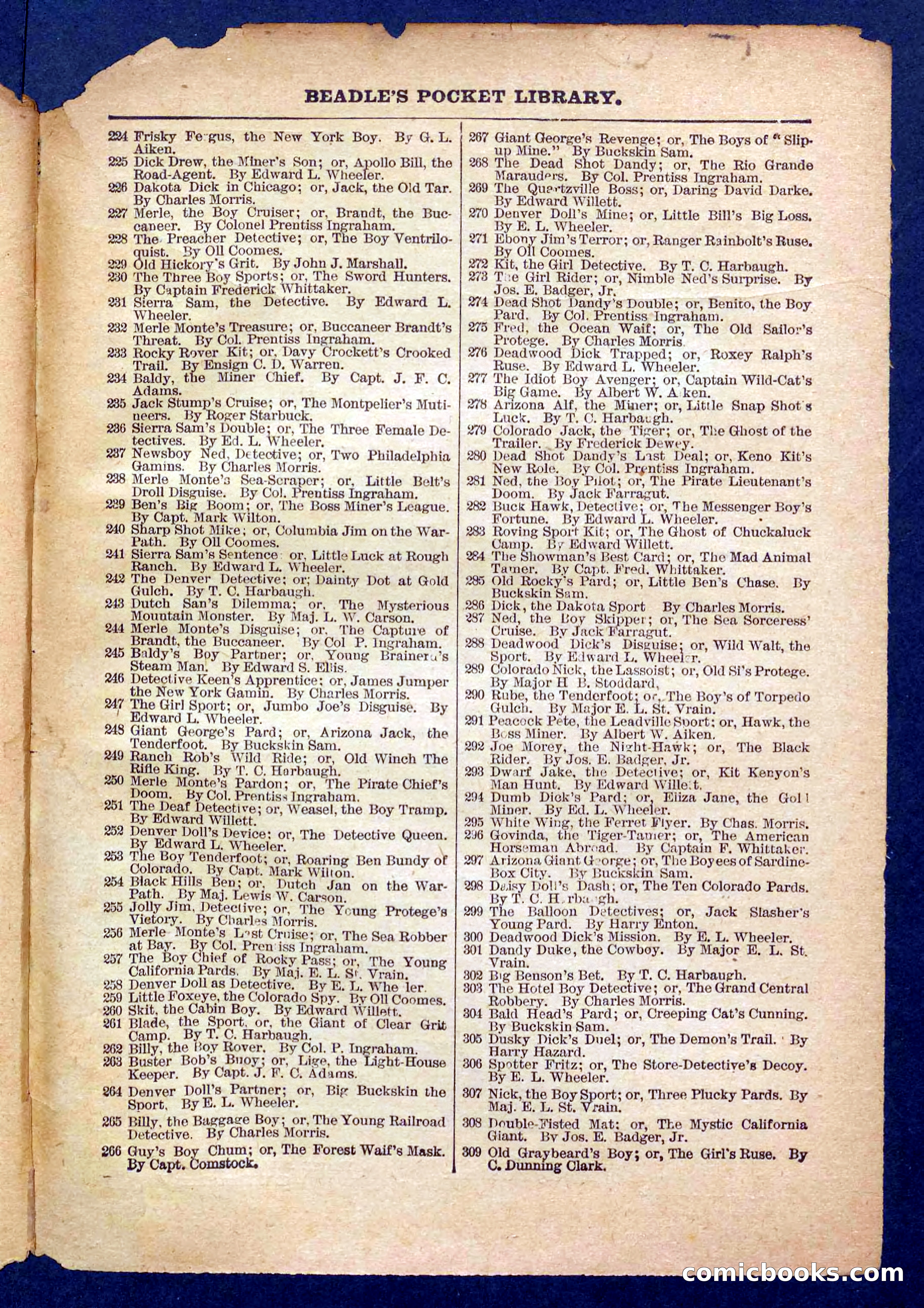 Beadle's Pocket Library No. 373 — page 31 of 32