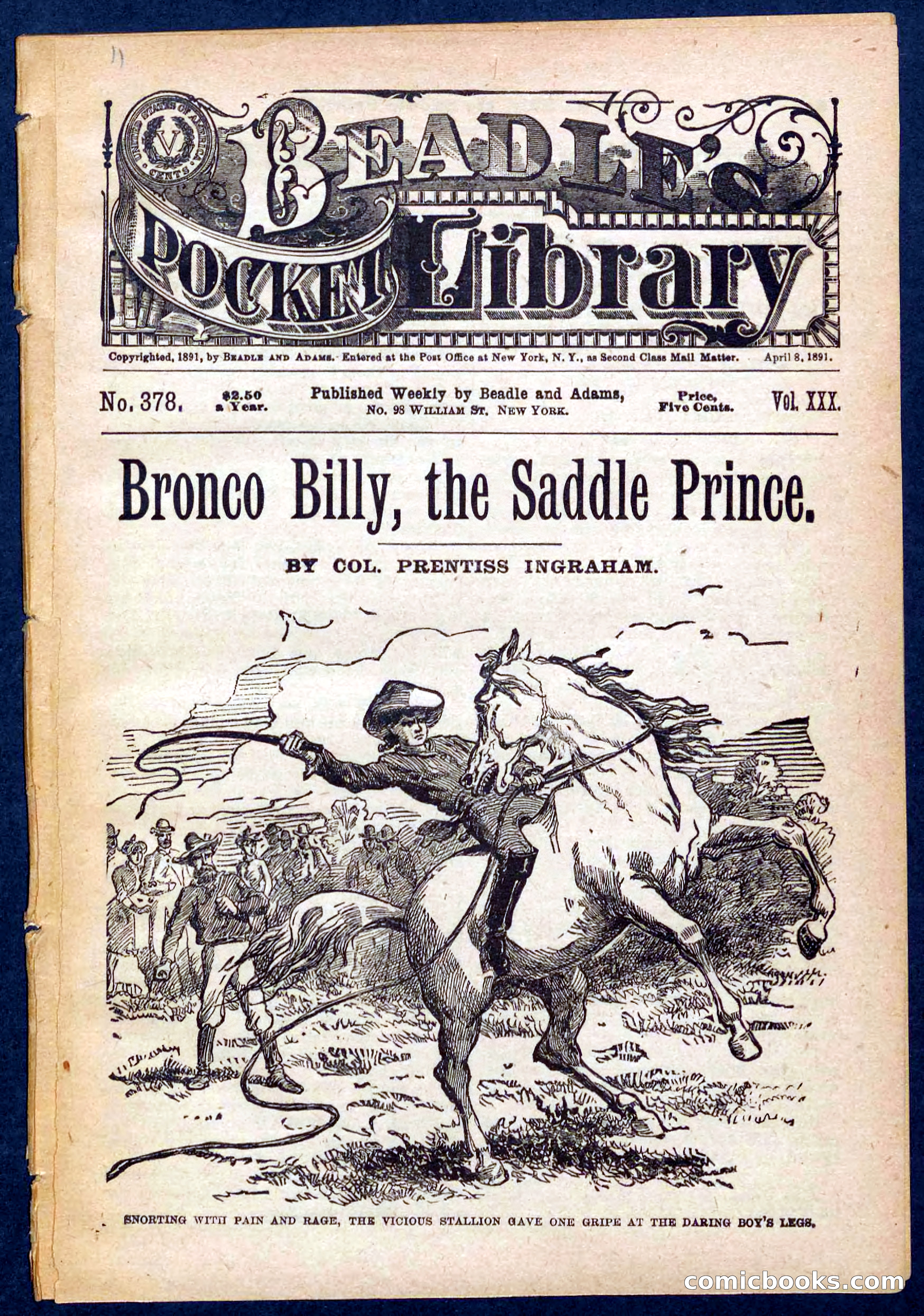 Beadle's Pocket Library No. 378
