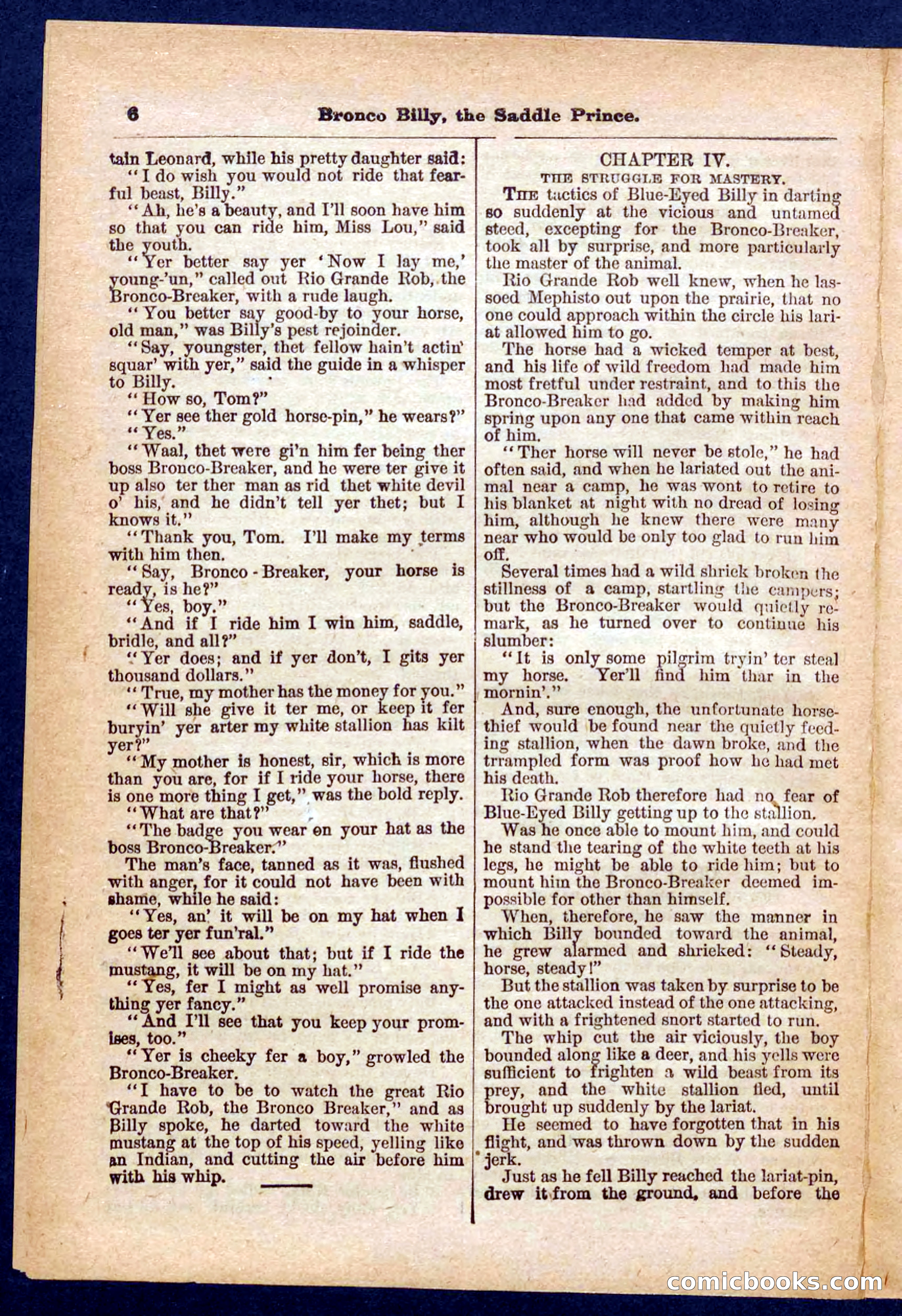 Beadle's Pocket Library No. 378 — page 6 of 32