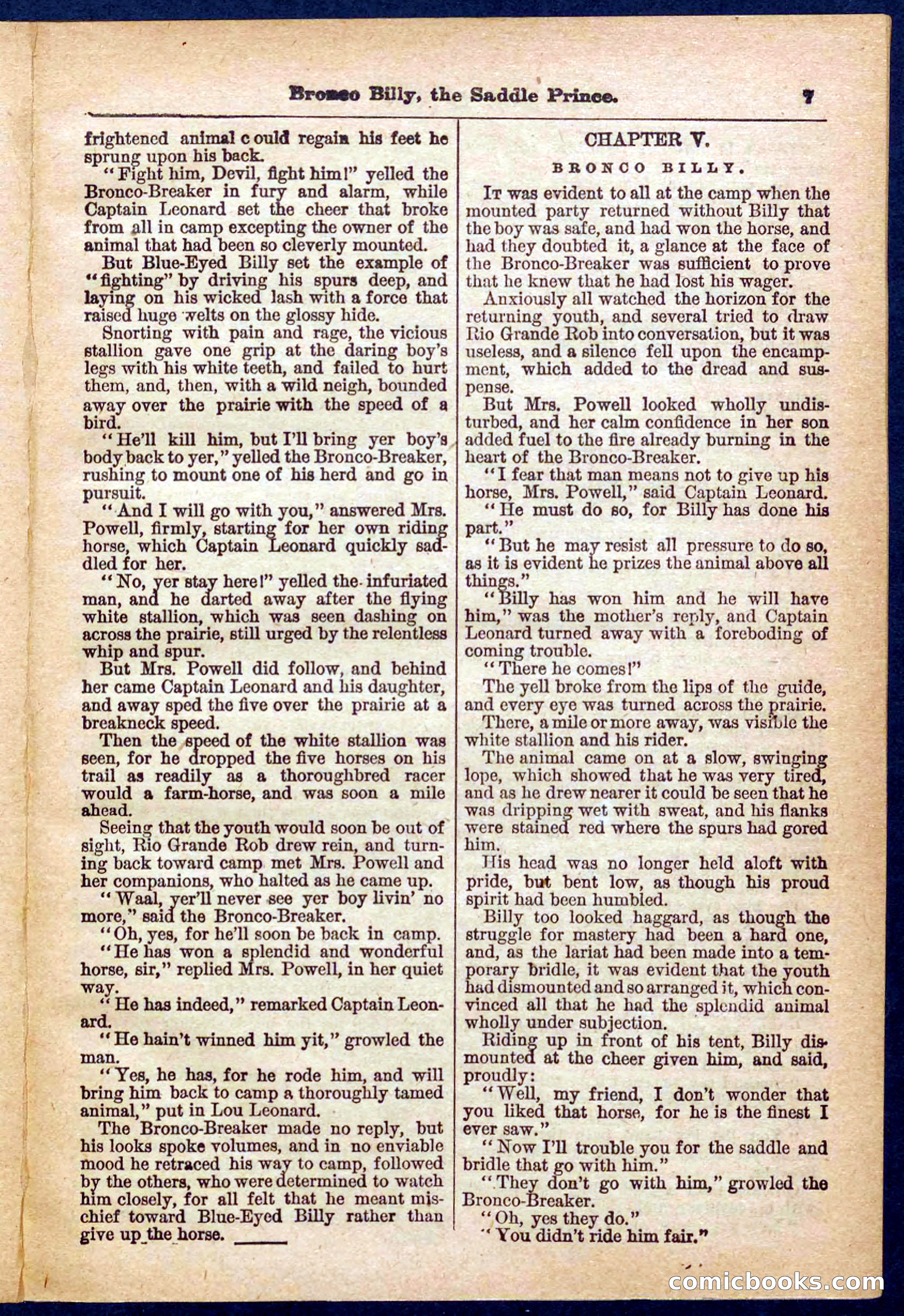 Beadle's Pocket Library No. 378 — page 7 of 32