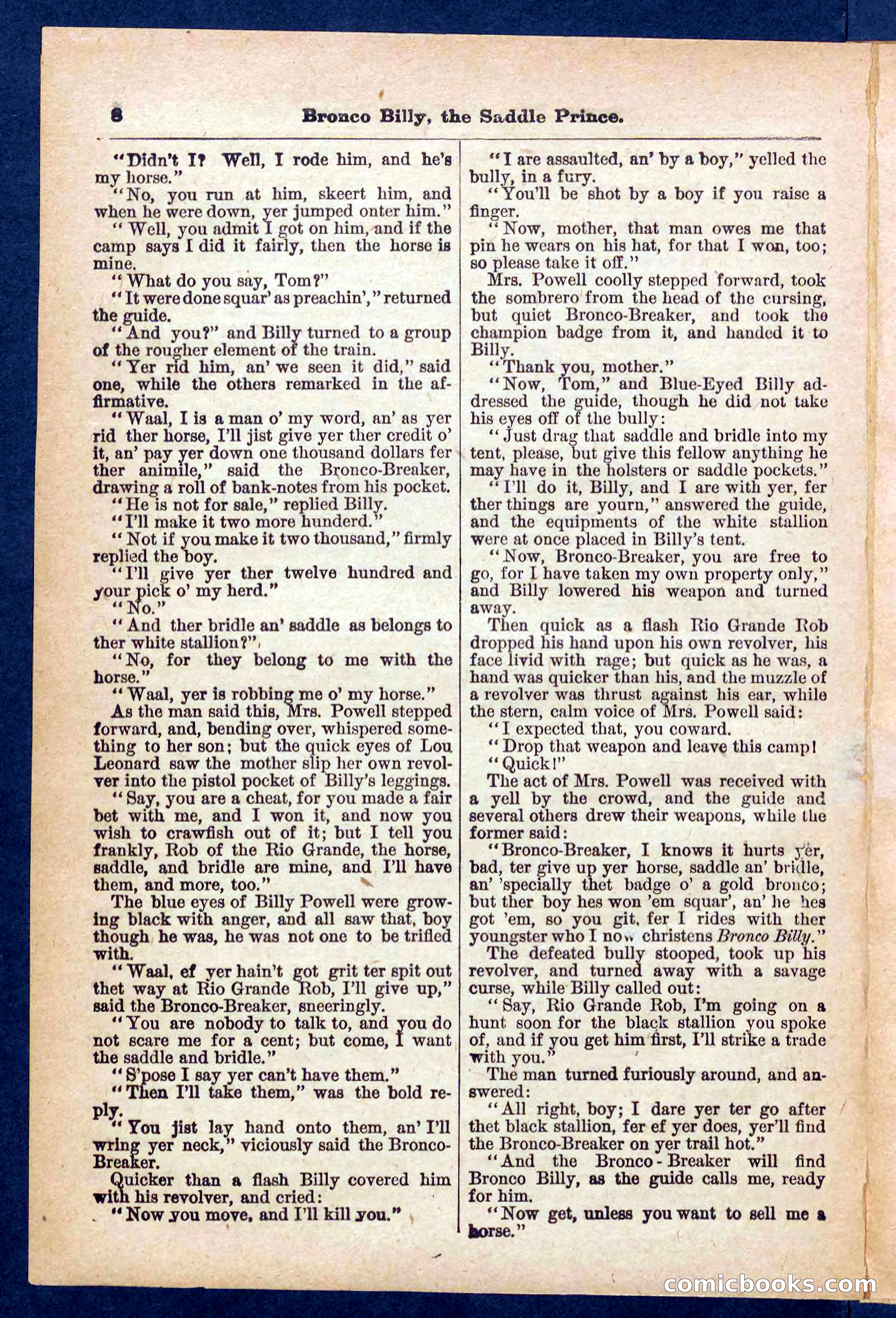 Beadle's Pocket Library No. 378 — page 8 of 32