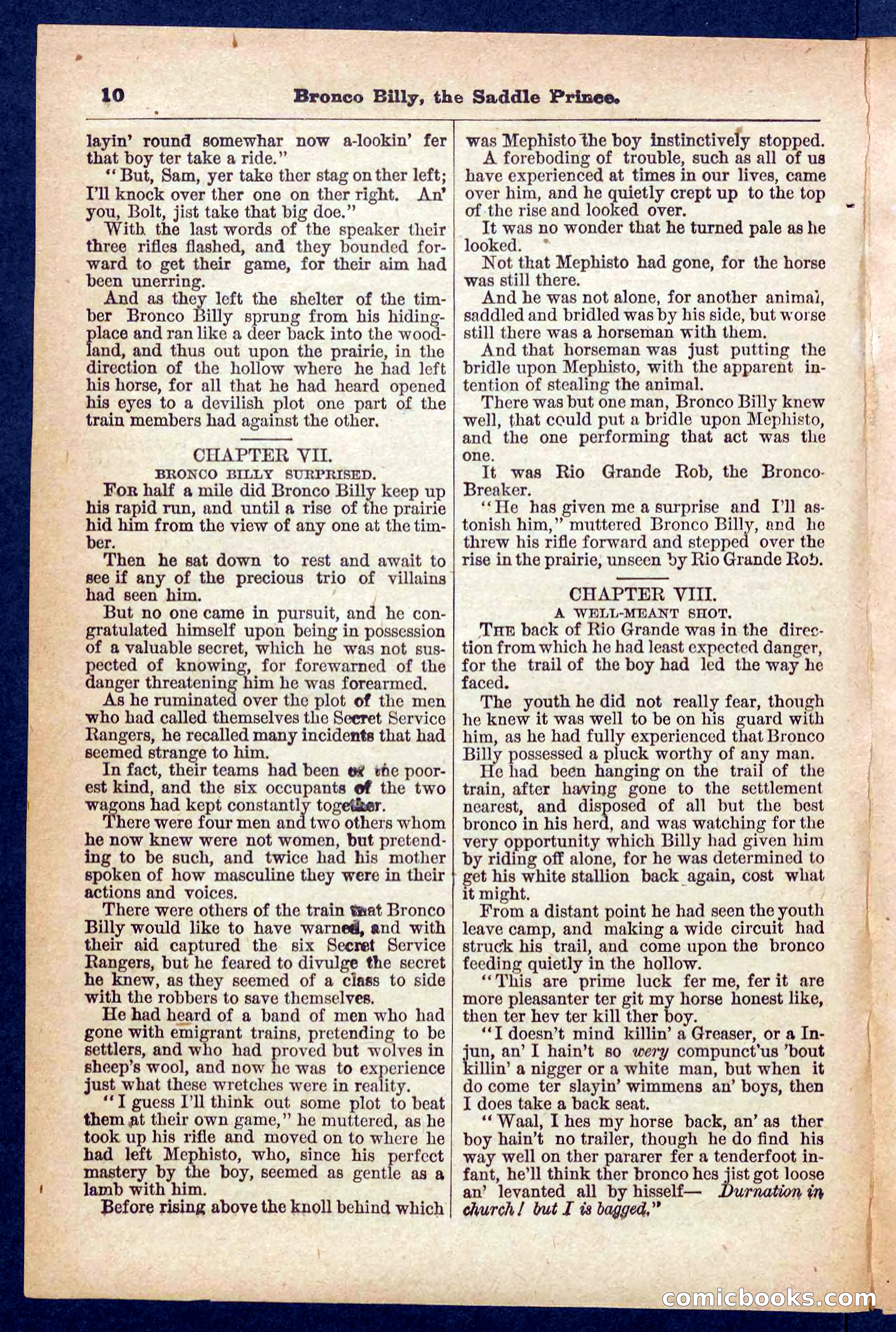 Beadle's Pocket Library No. 378 — page 10 of 32