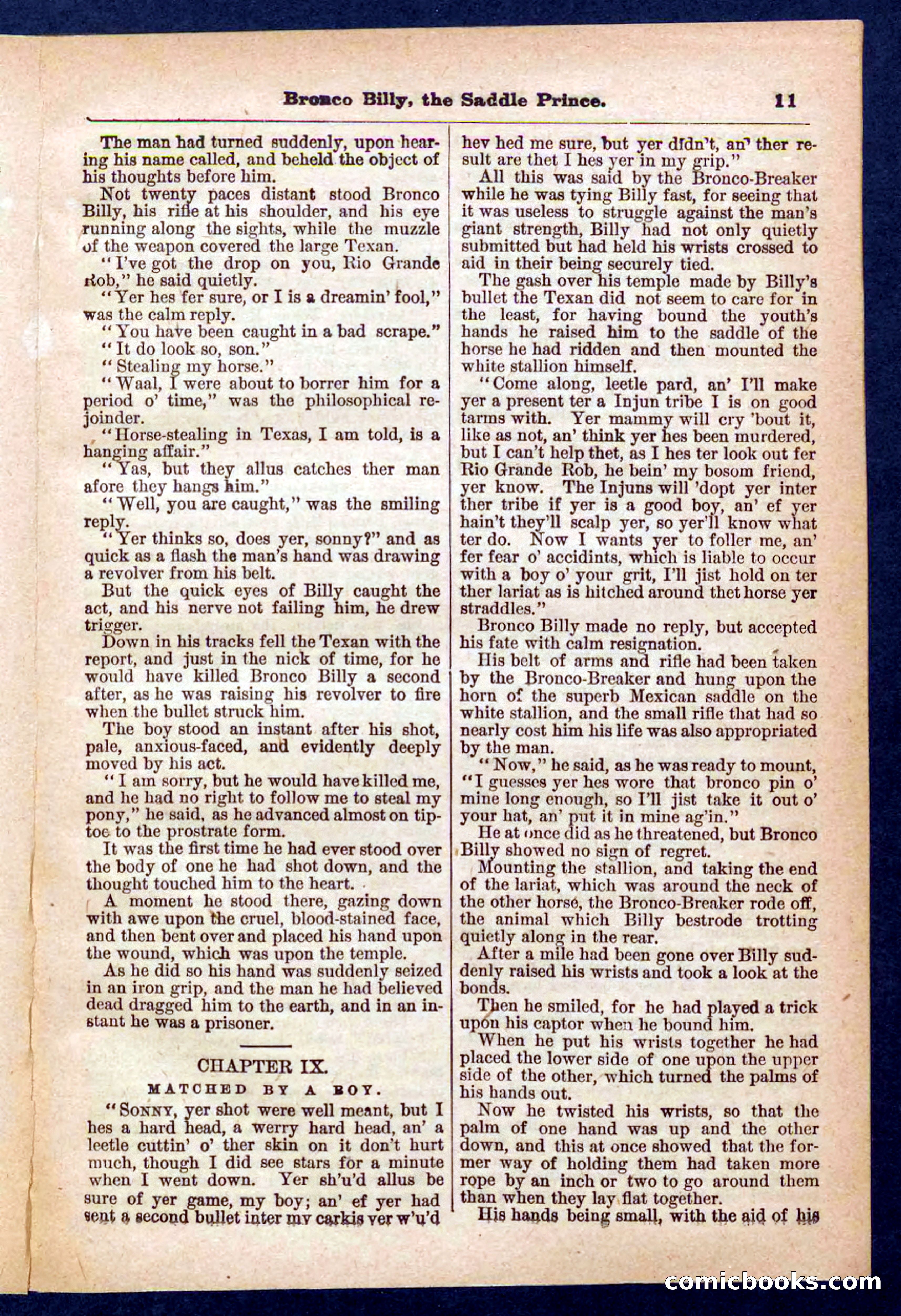 Beadle's Pocket Library No. 378 — page 11 of 32