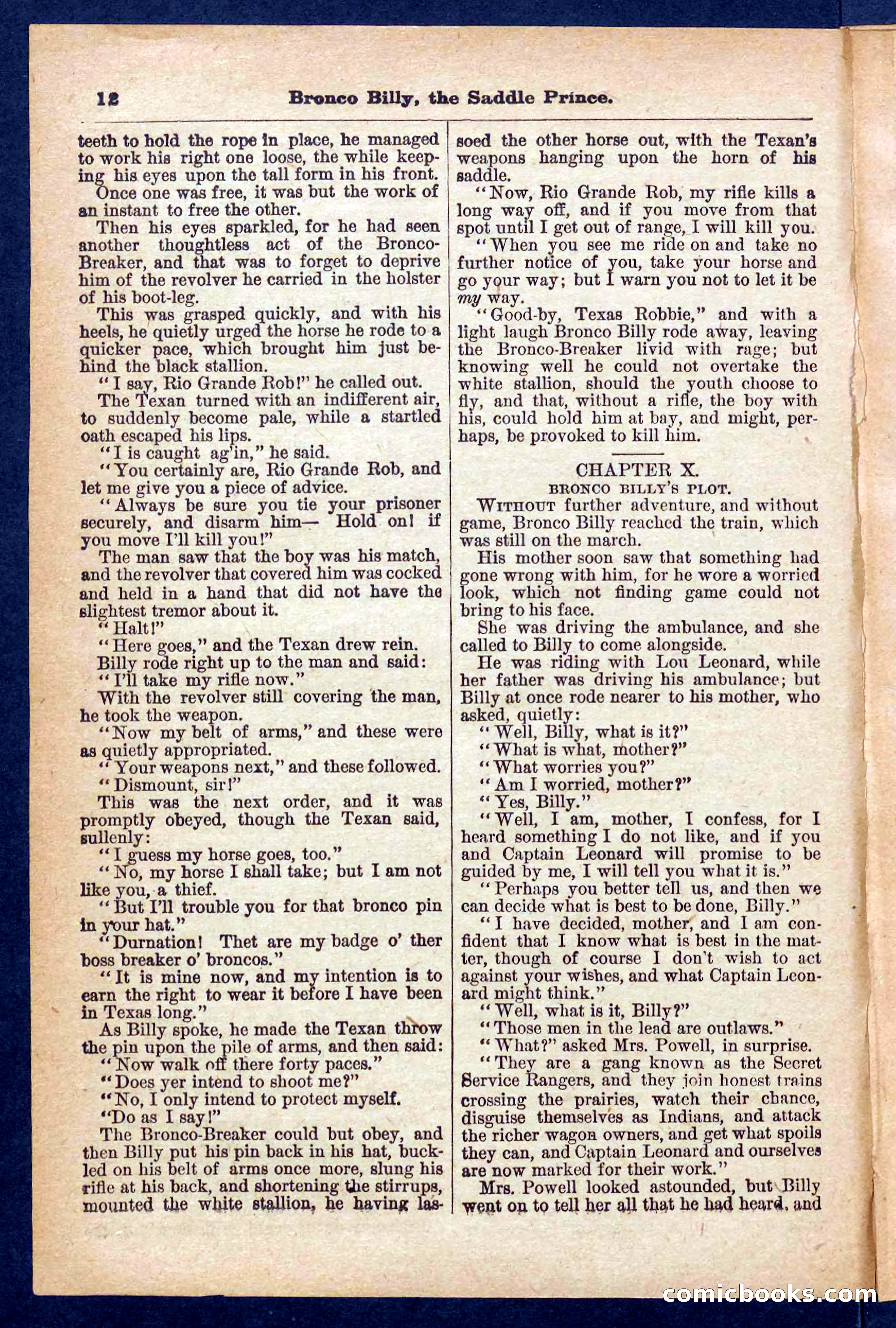 Beadle's Pocket Library No. 378 — page 12 of 32