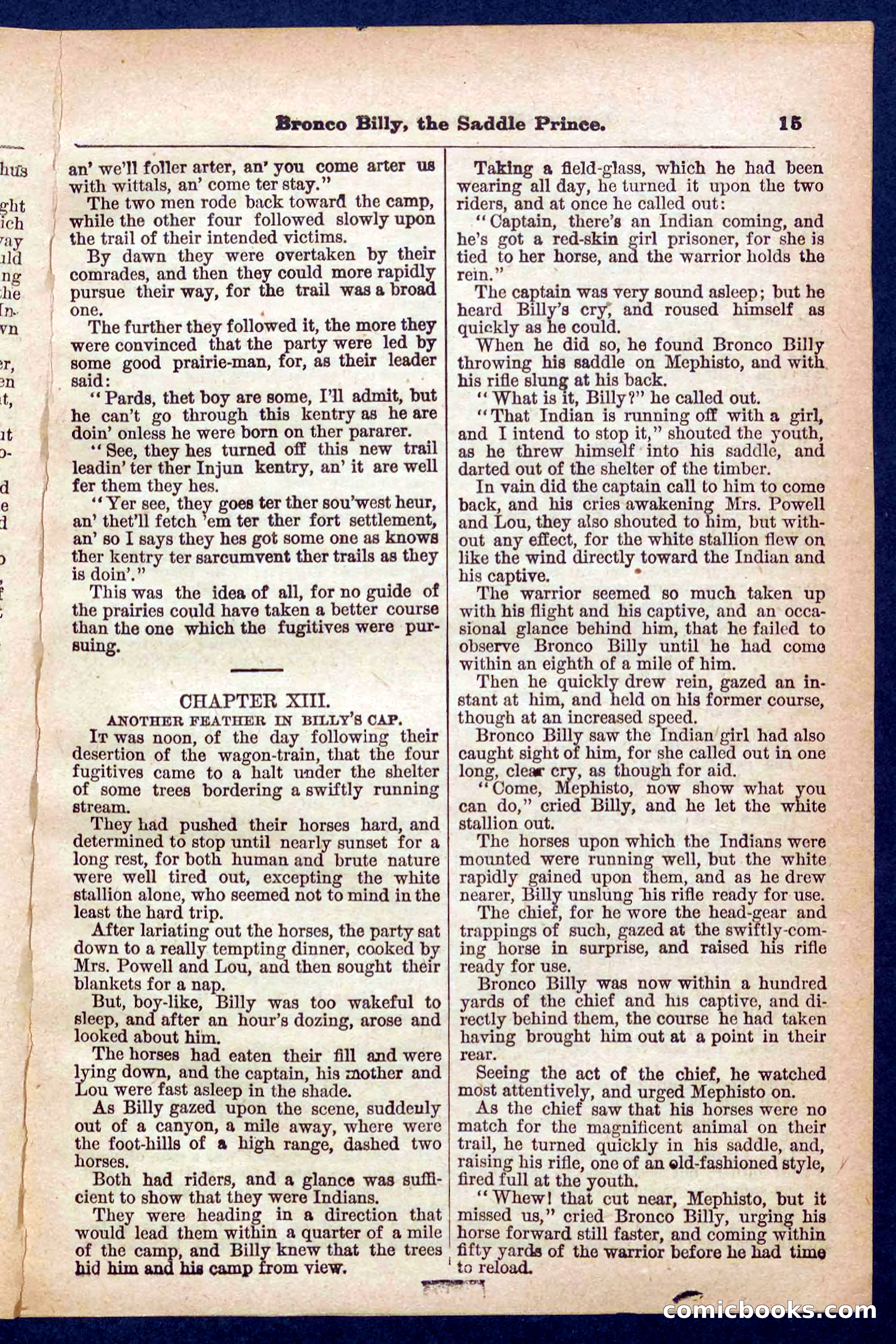 Beadle's Pocket Library No. 378 — page 15 of 32