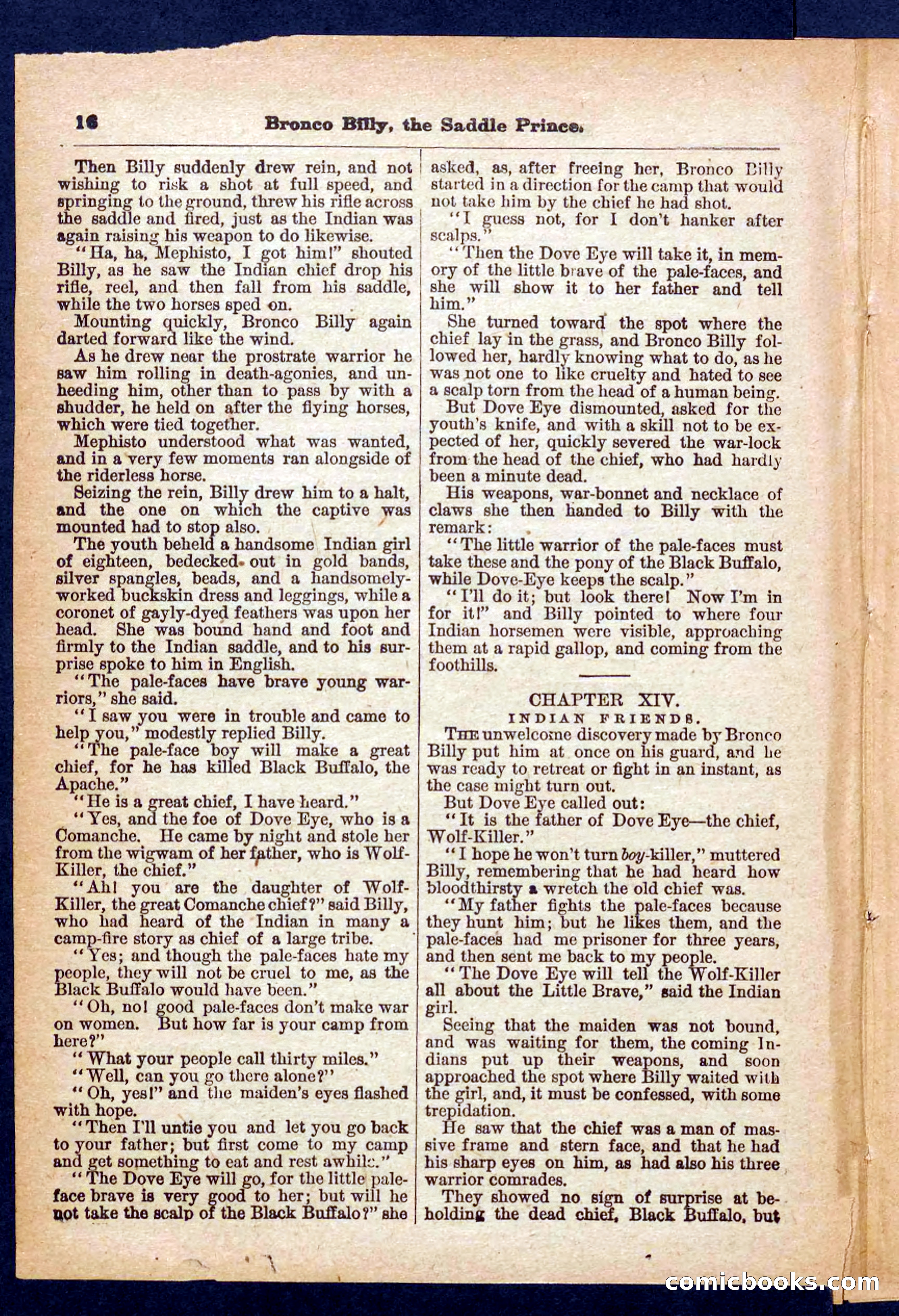 Beadle's Pocket Library No. 378 — page 16 of 32