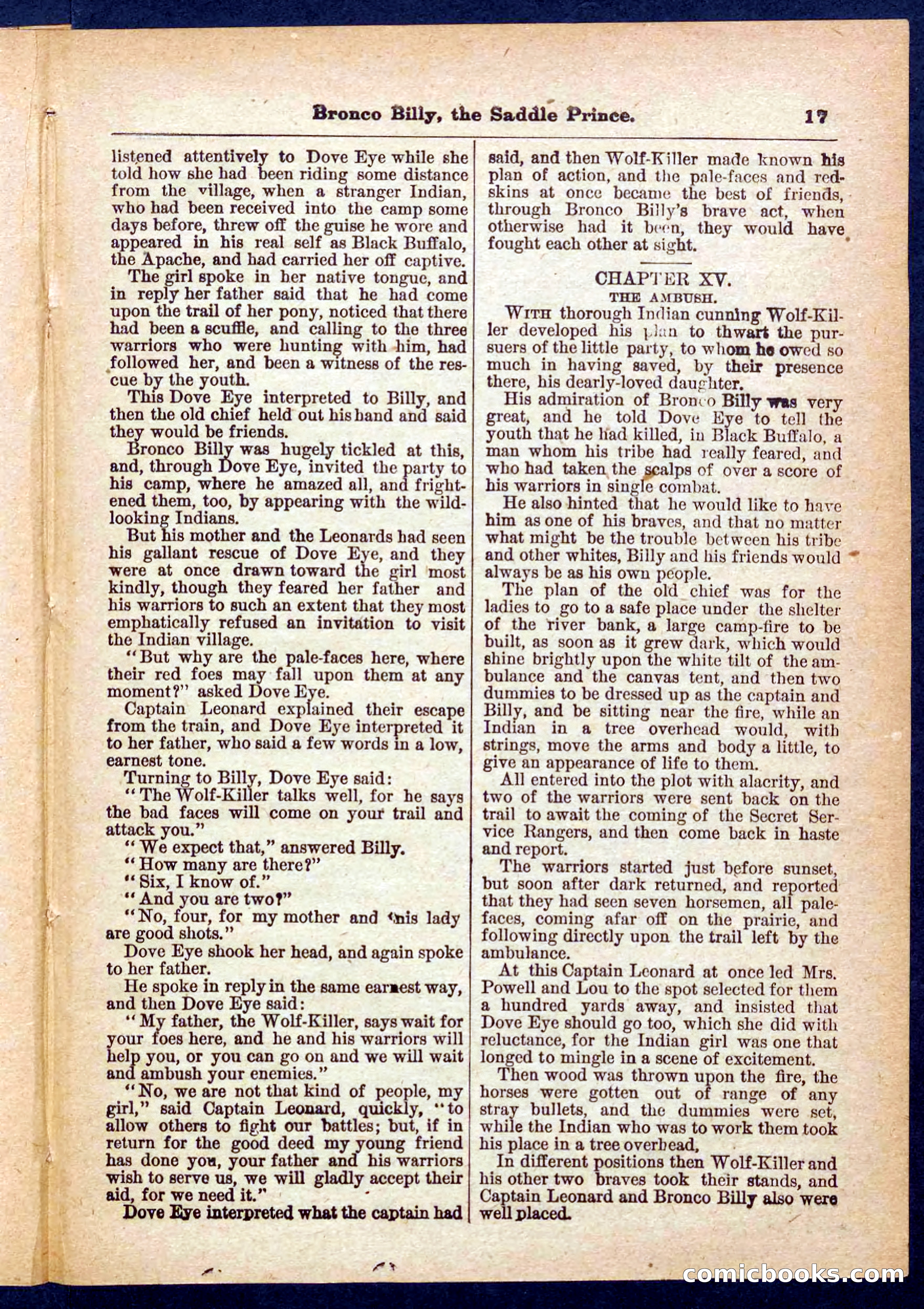 Beadle's Pocket Library No. 378 — page 17 of 32