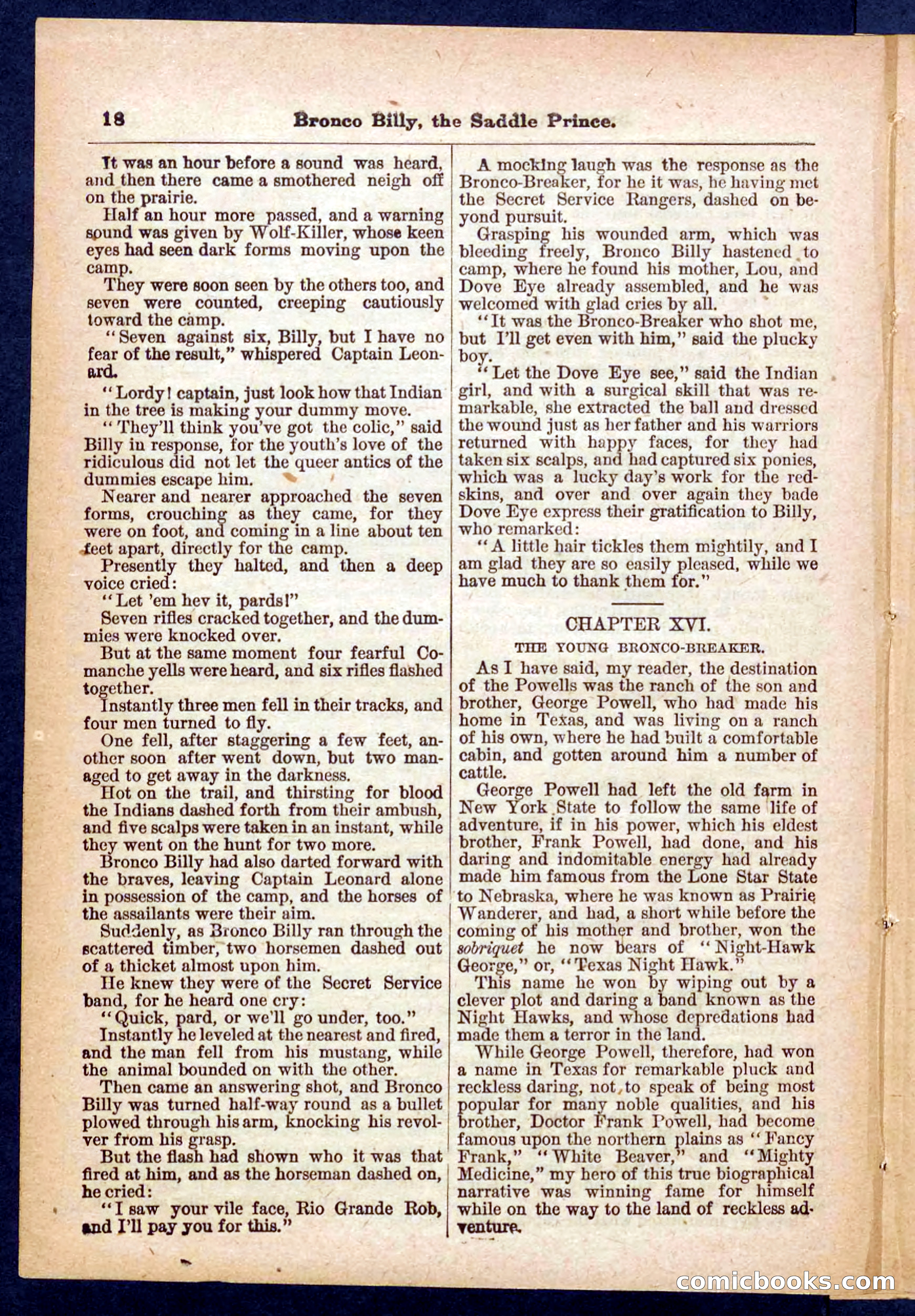 Beadle's Pocket Library No. 378 — page 18 of 32