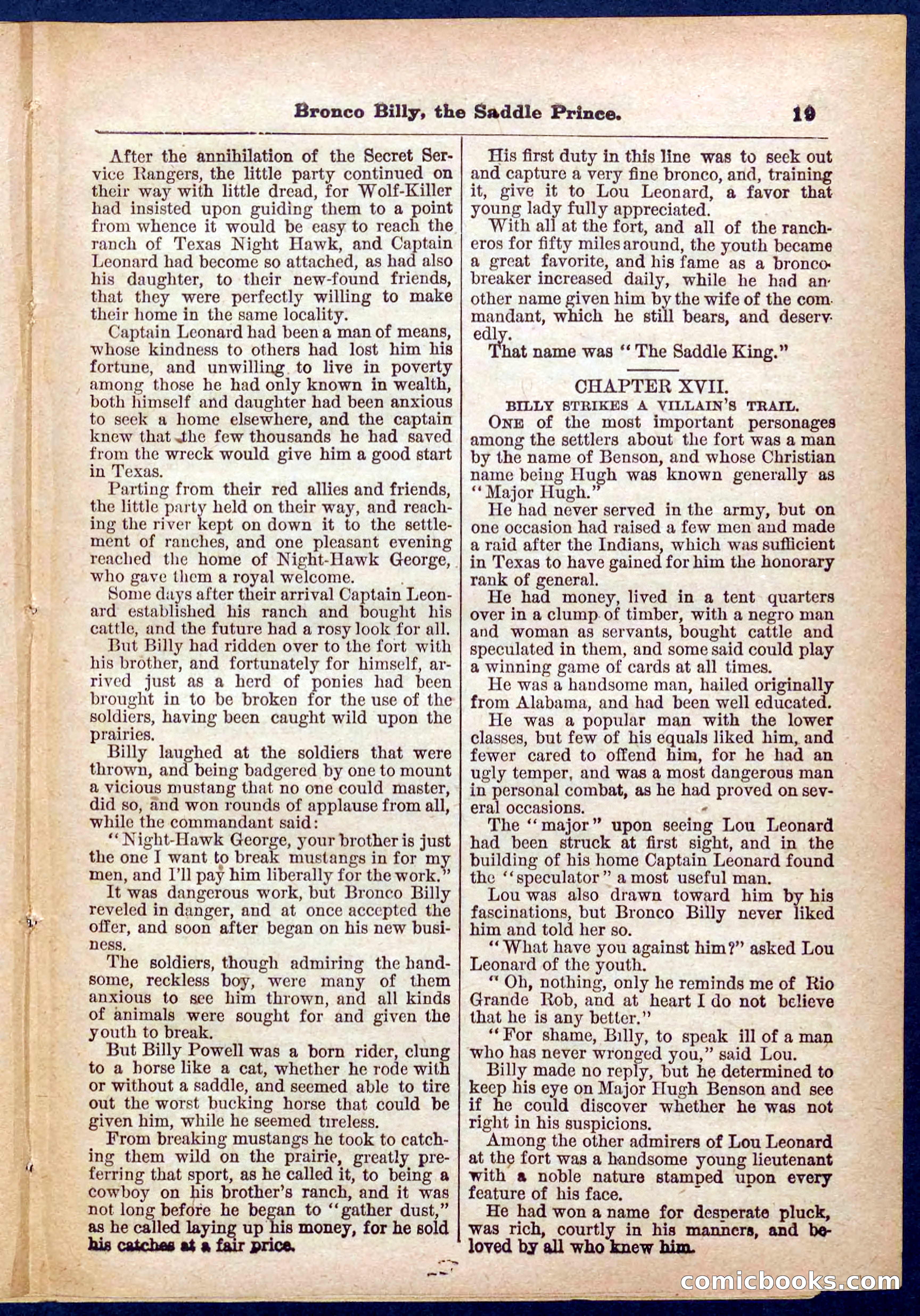 Beadle's Pocket Library No. 378 — page 19 of 32