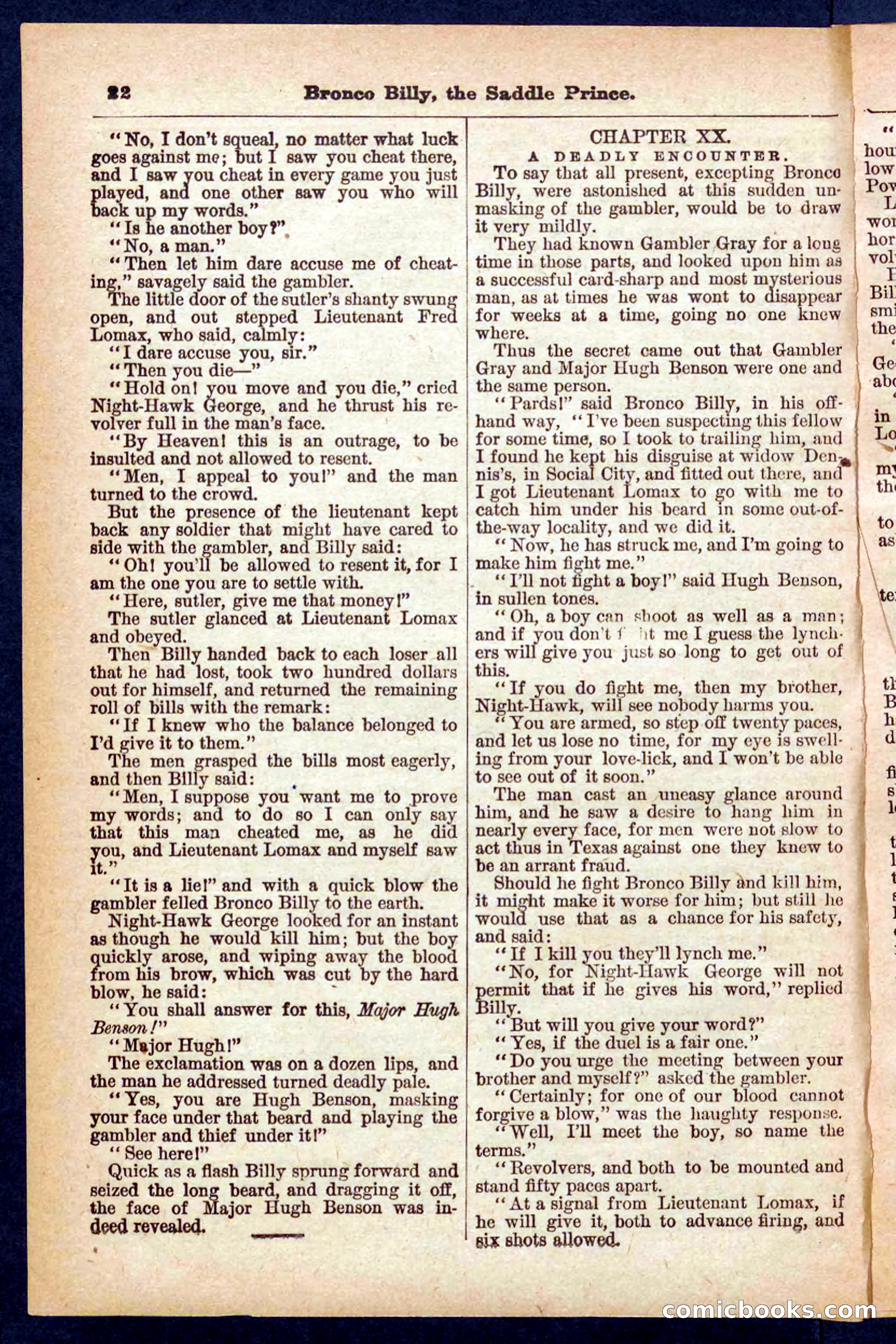 Beadle's Pocket Library No. 378 — page 22 of 32