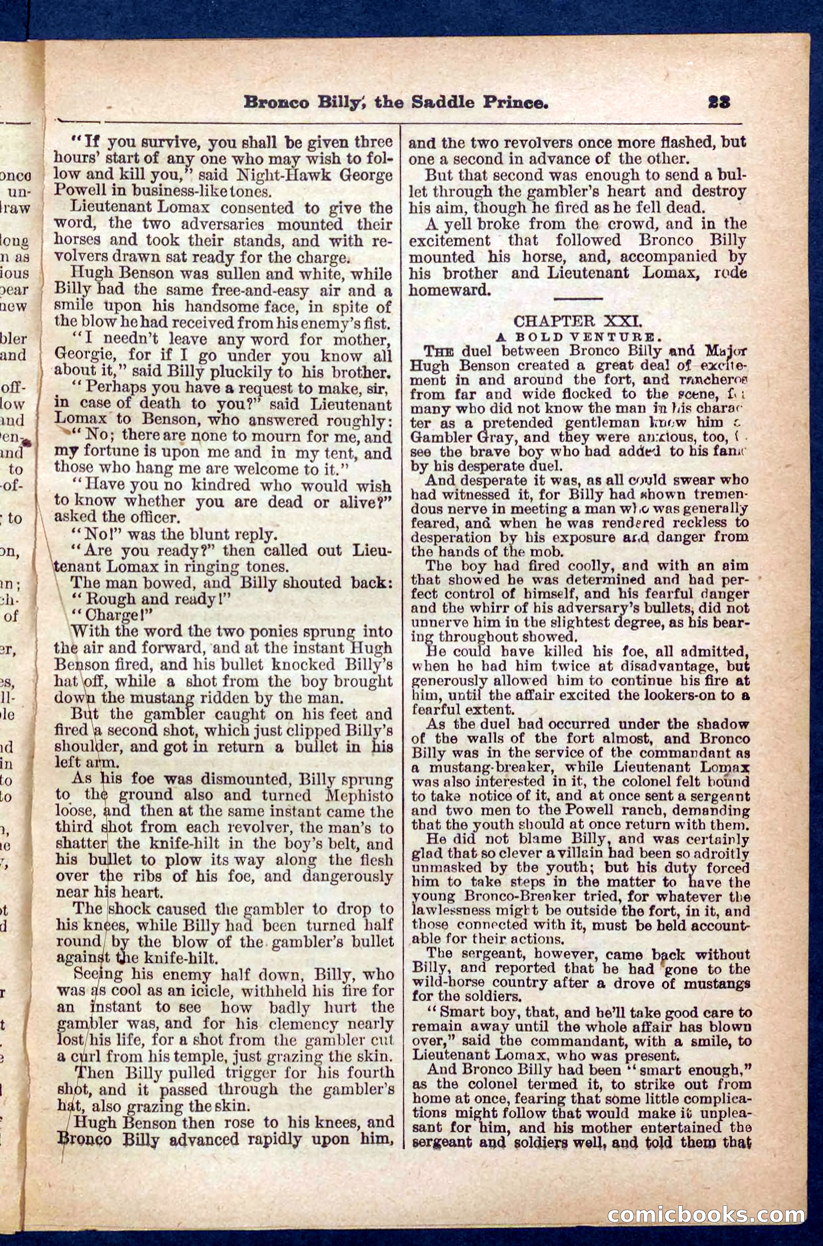 Beadle's Pocket Library No. 378 — page 23 of 32