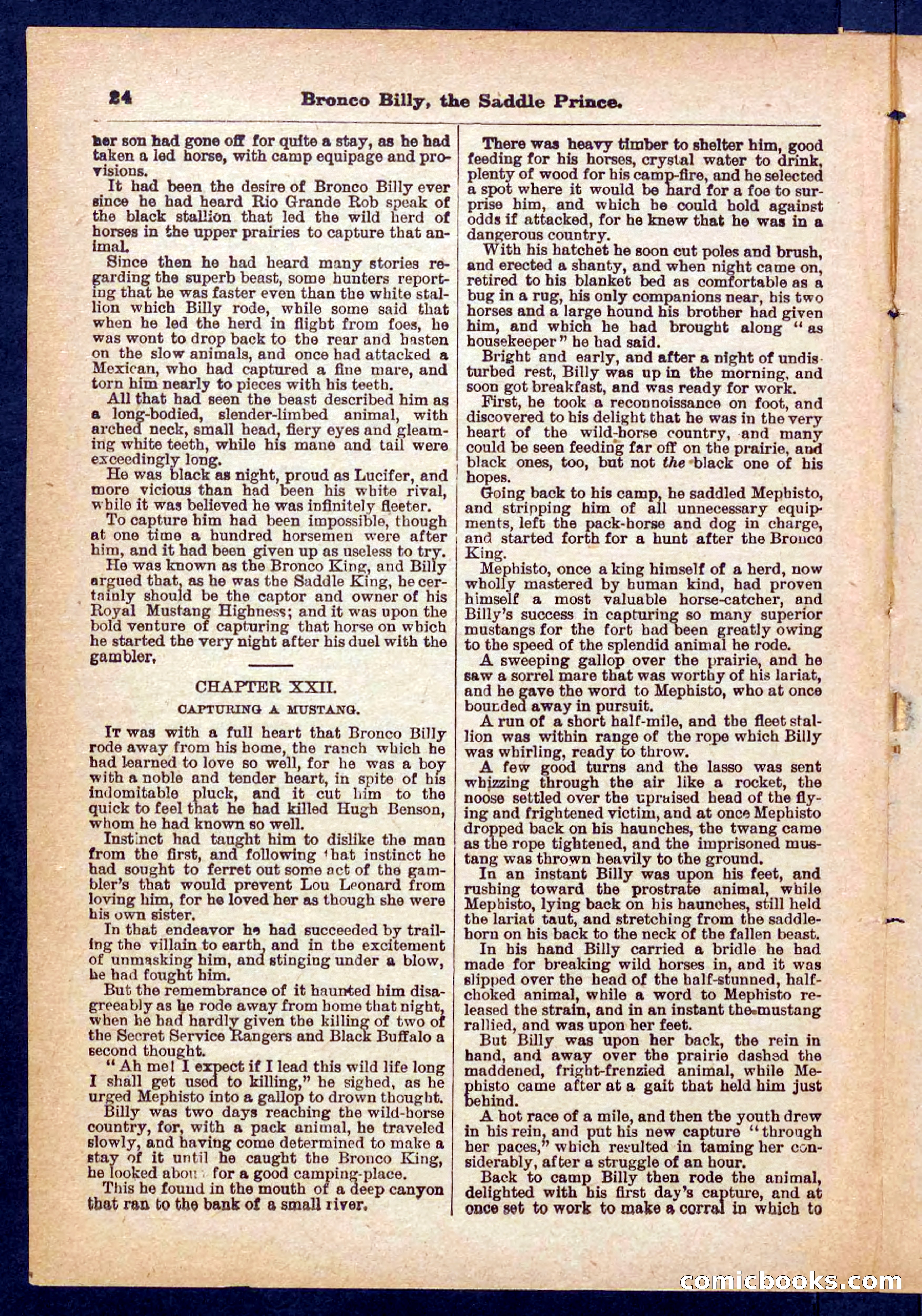 Beadle's Pocket Library No. 378 — page 24 of 32