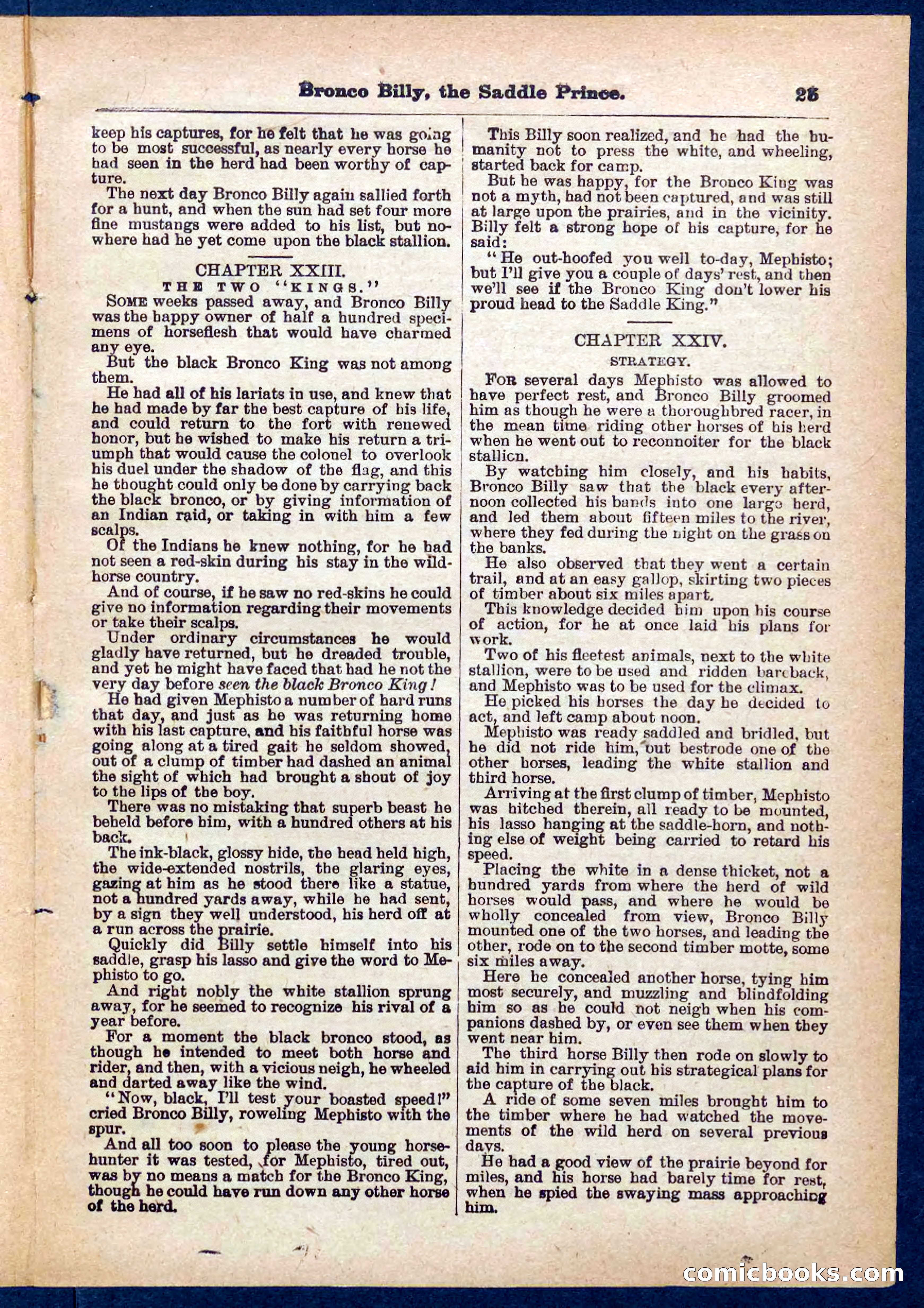 Beadle's Pocket Library No. 378 — page 25 of 32