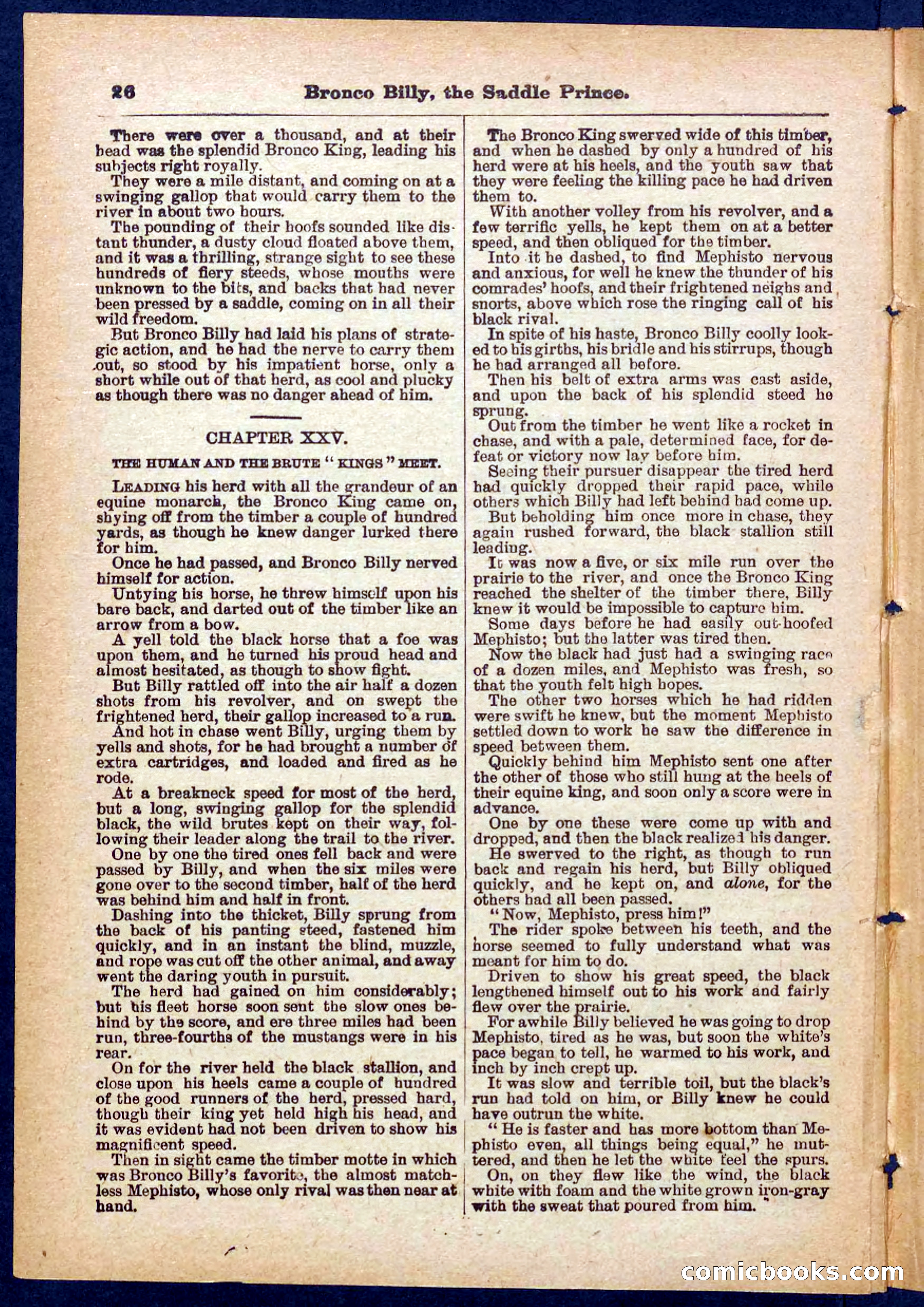 Beadle's Pocket Library No. 378 — page 26 of 32