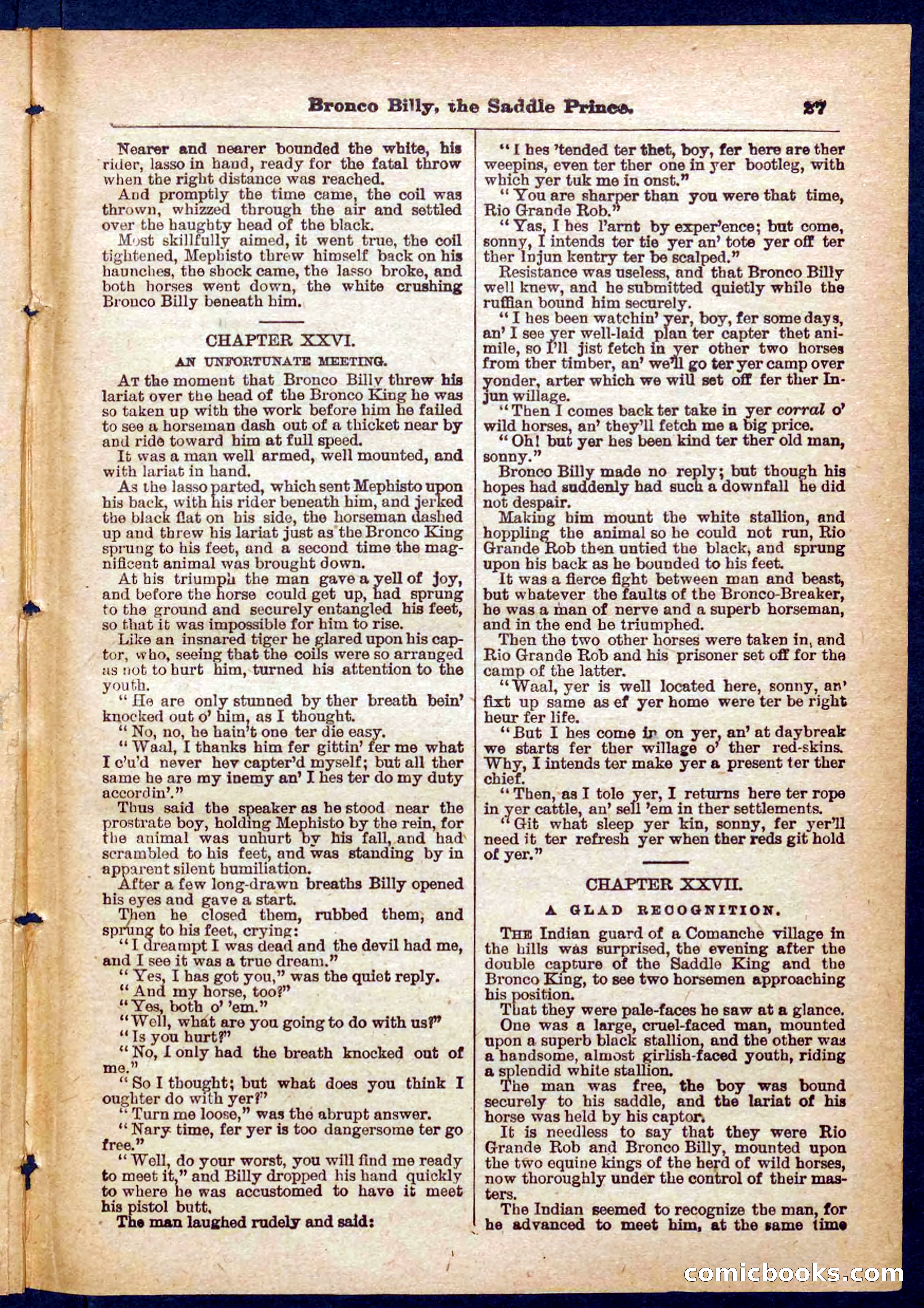Beadle's Pocket Library No. 378 — page 27 of 32