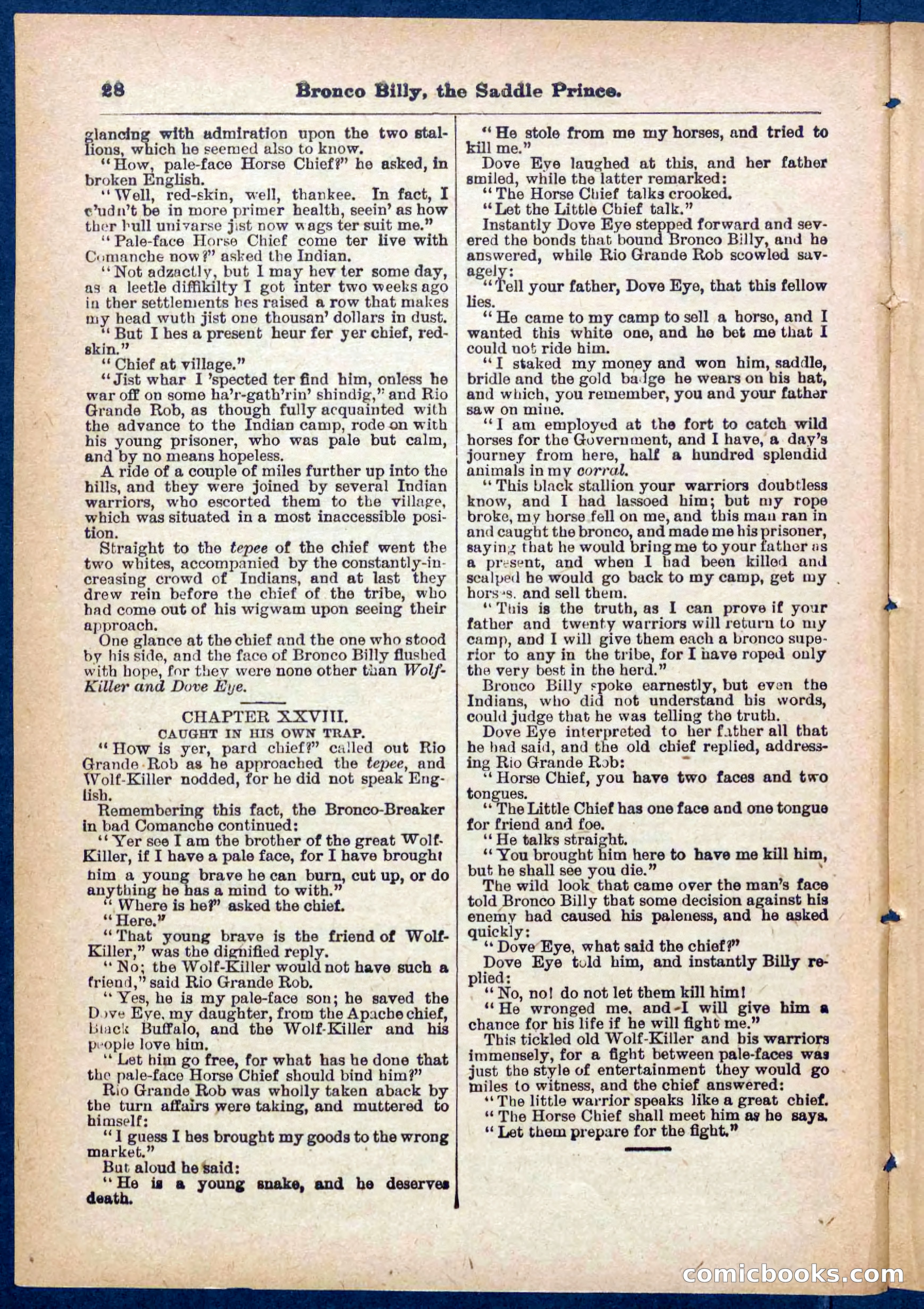 Beadle's Pocket Library No. 378 — page 28 of 32