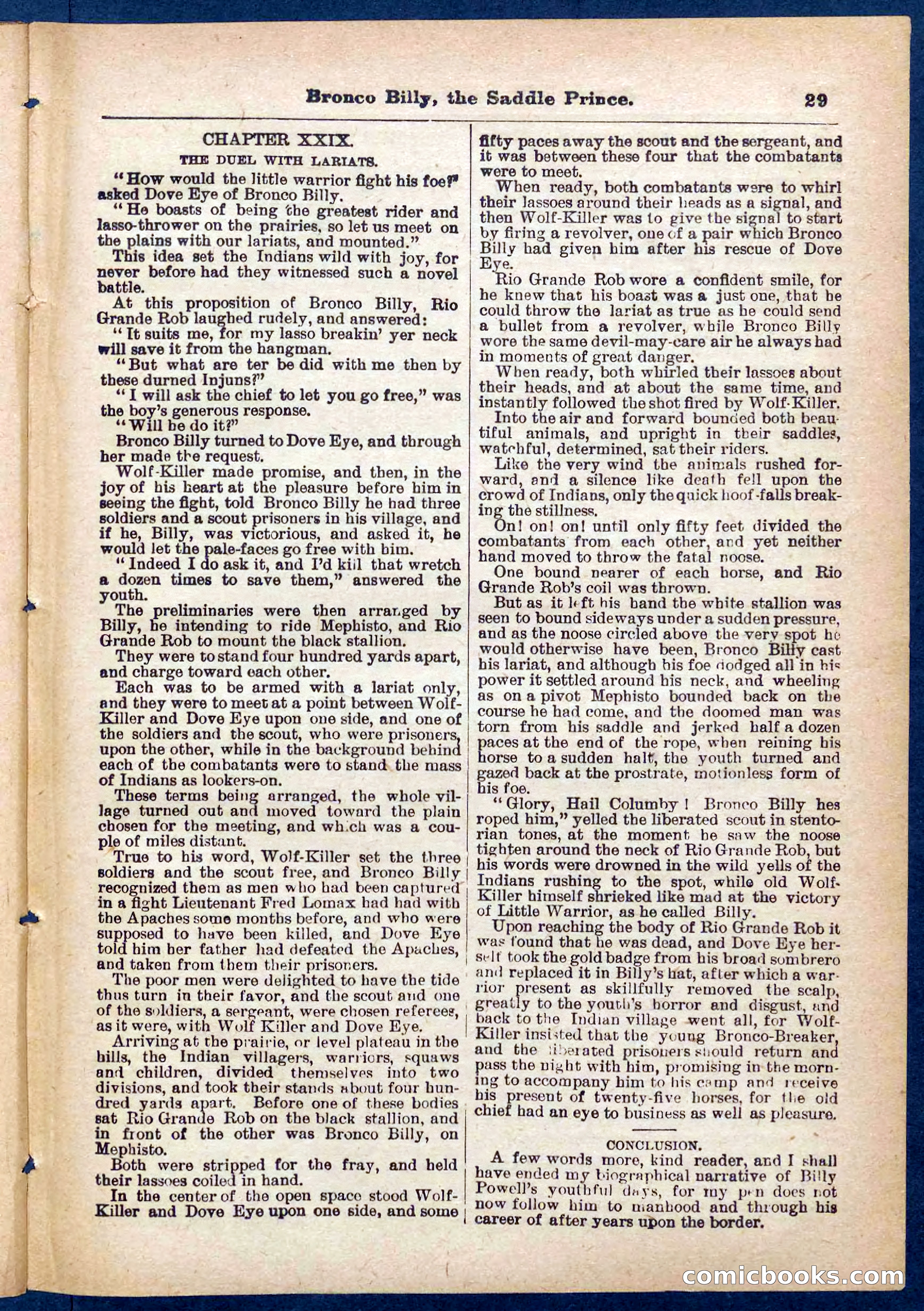 Beadle's Pocket Library No. 378 — page 29 of 32
