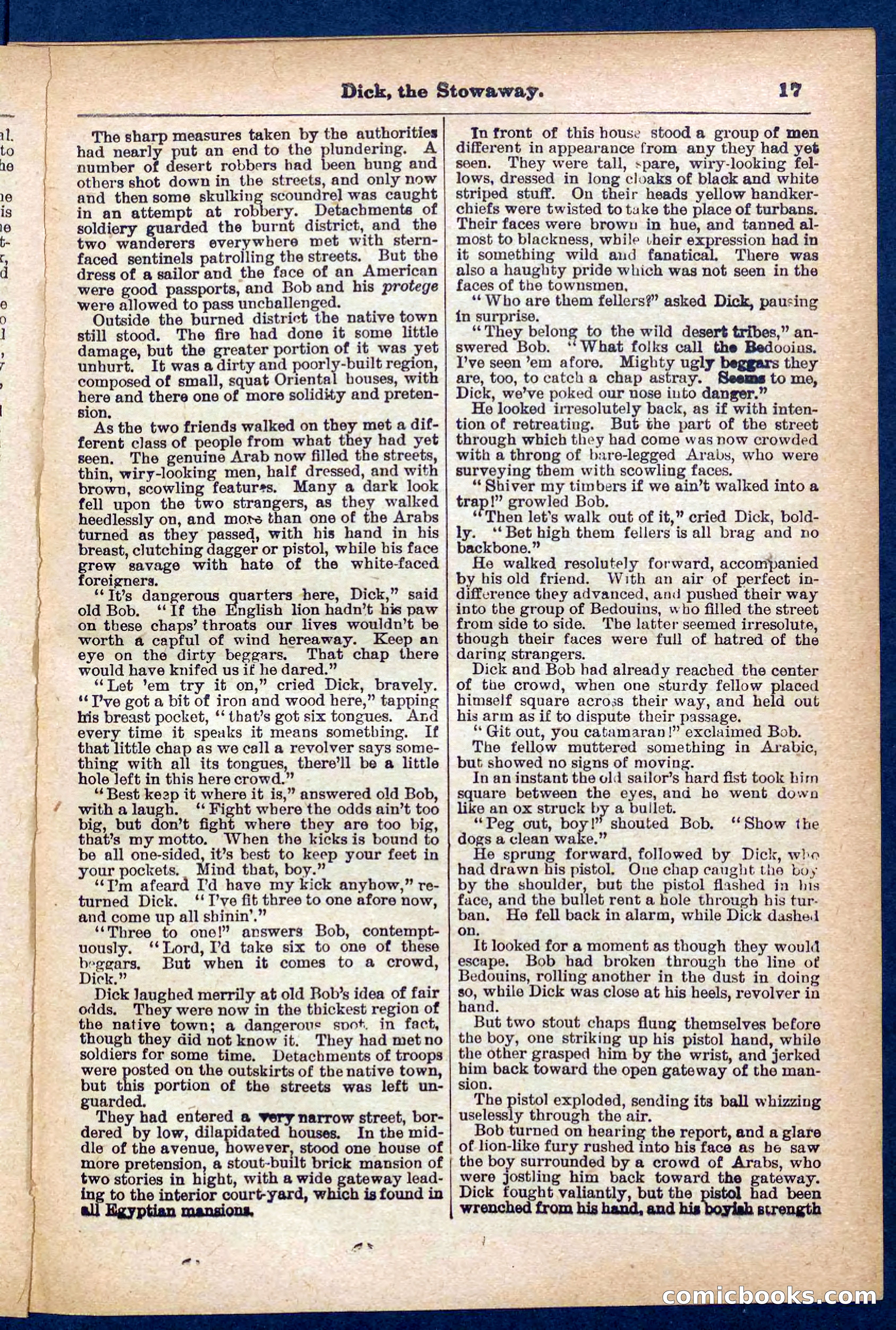 Beadle's Pocket Library No. 379: Dick, the Stowaway — page 17 of 32